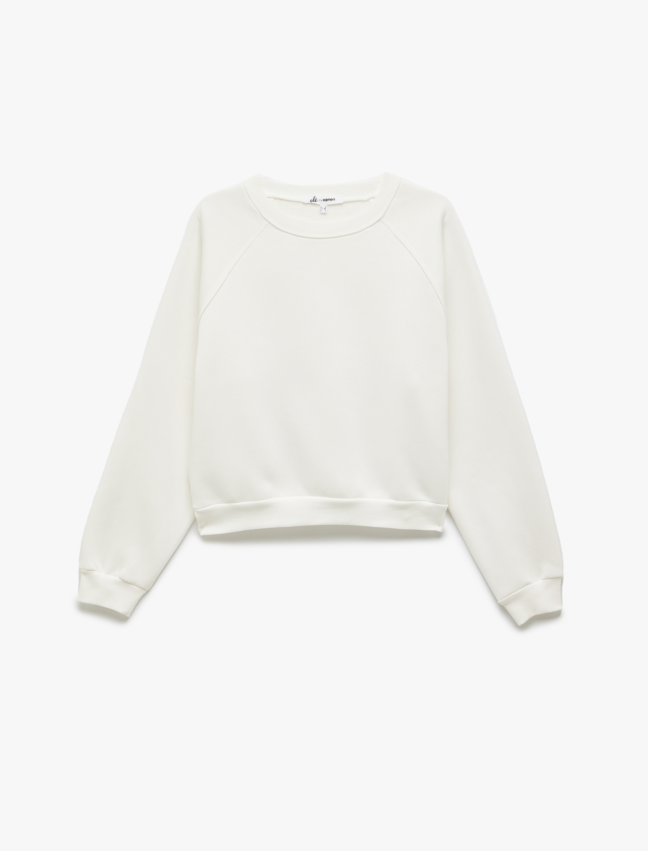   Üç İplik Şardonlu Dikiş Detaylı Bisiklet Yaka Oversize Sweatshirt