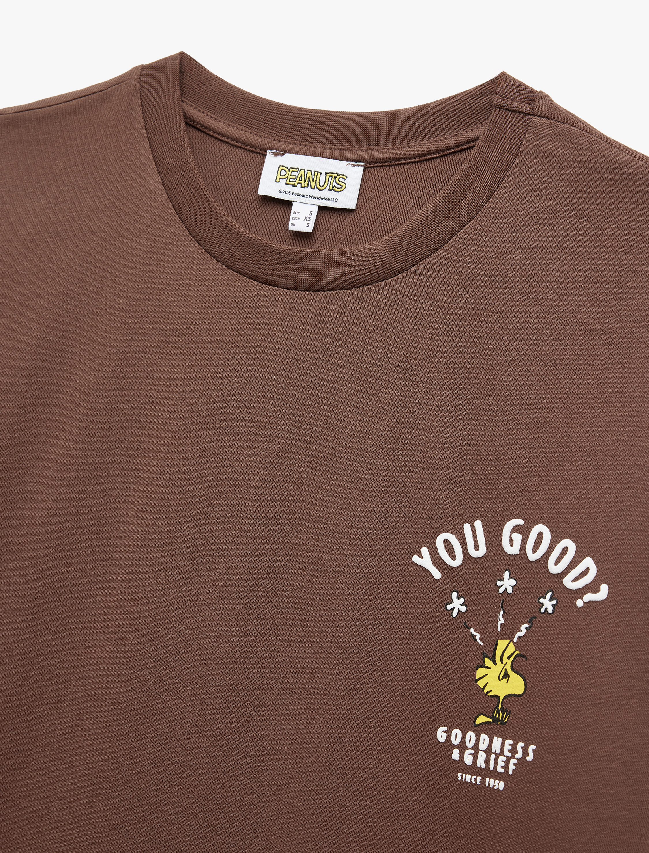   Snoopy Lisanslı Bisiklet Yaka Kısa Kollu Arkası Baskılı Oversize Tişört