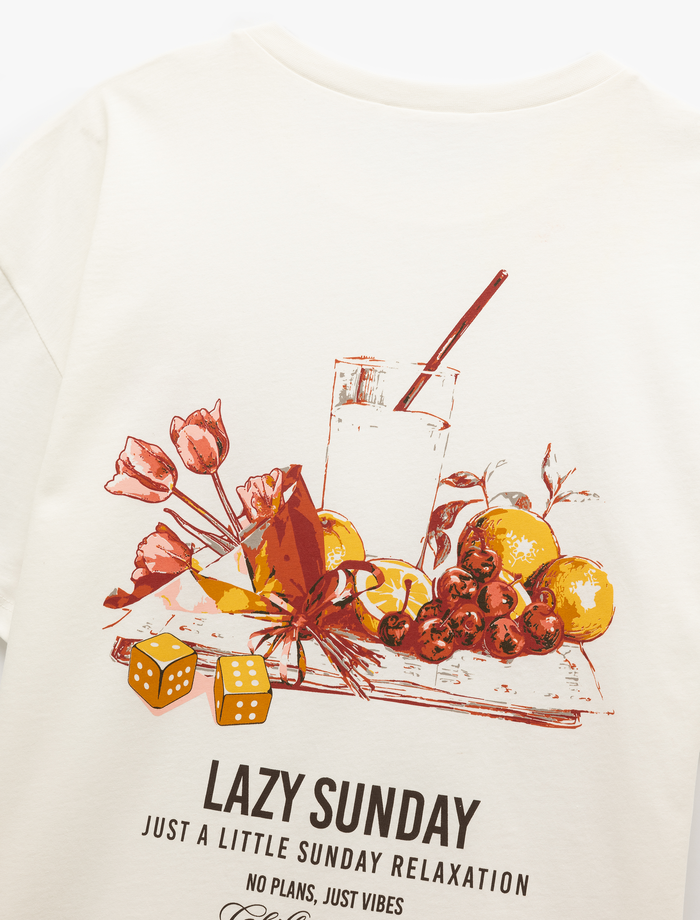   Kısa Kollu Bisiklet Yaka Pamuklu Arkası Baskılı Oversize Tişört