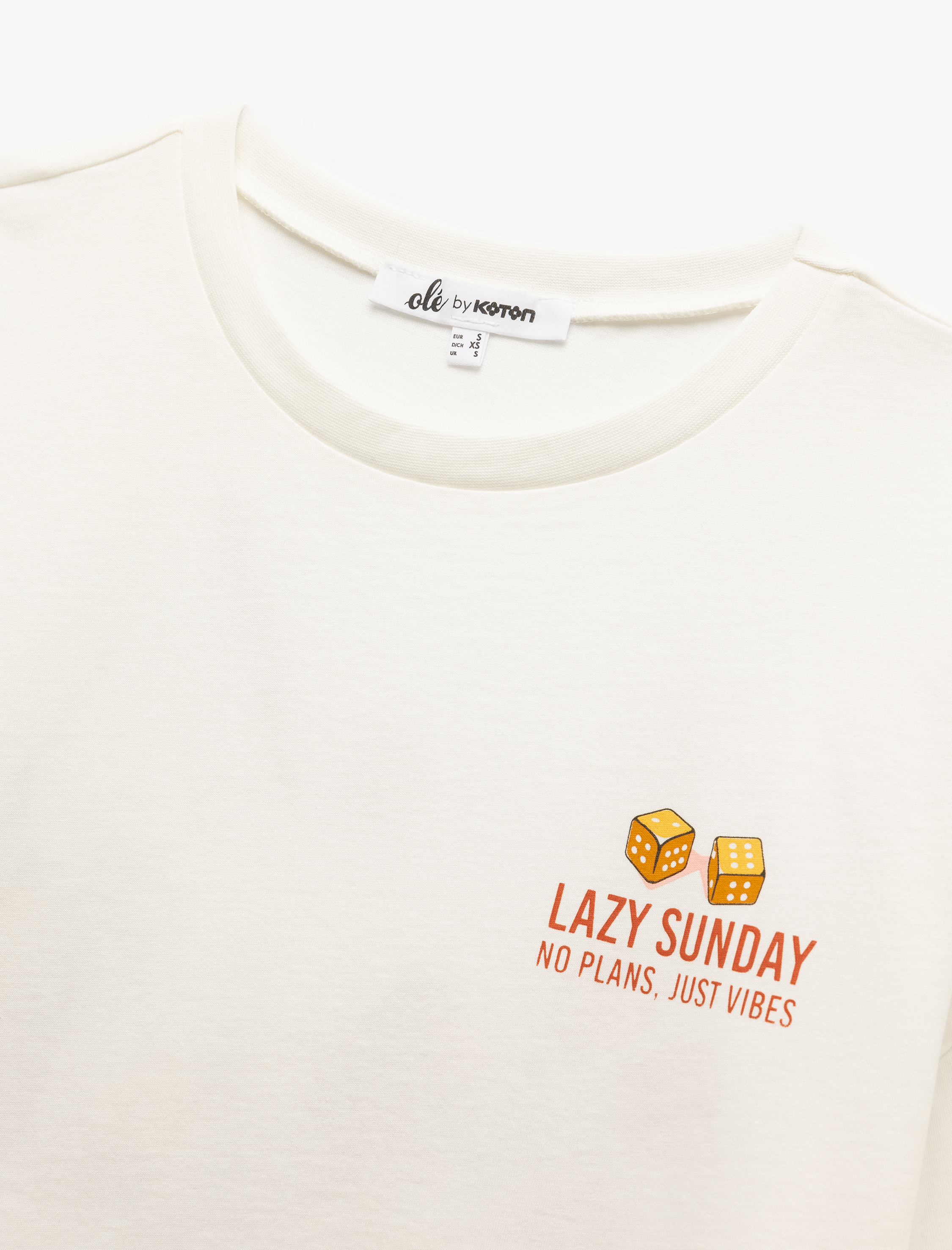   Kısa Kollu Bisiklet Yaka Pamuklu Arkası Baskılı Oversize Tişört