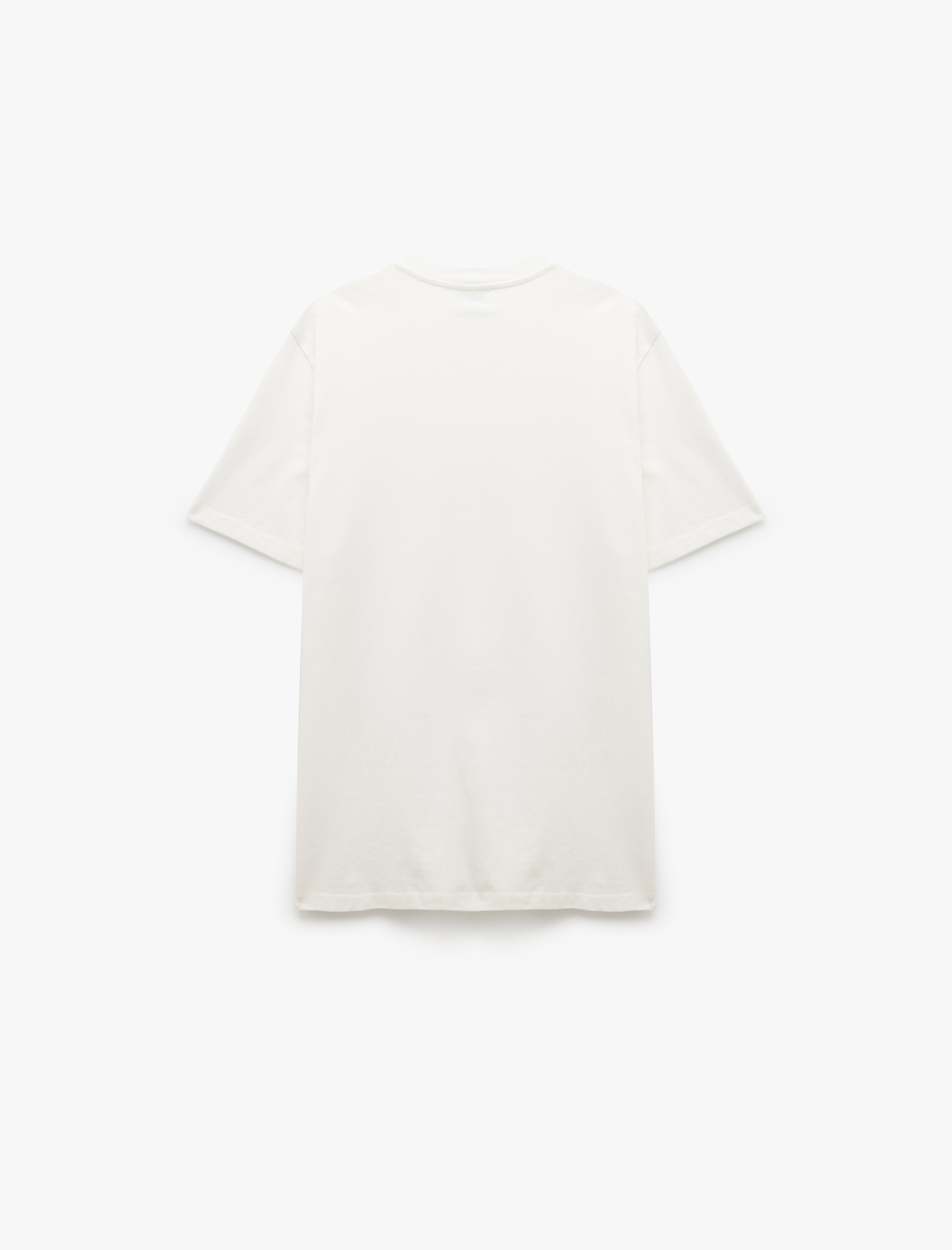   Kısa Kollu Bisiklet Yaka Regular Fit Pamuklu Baskılı Tişört