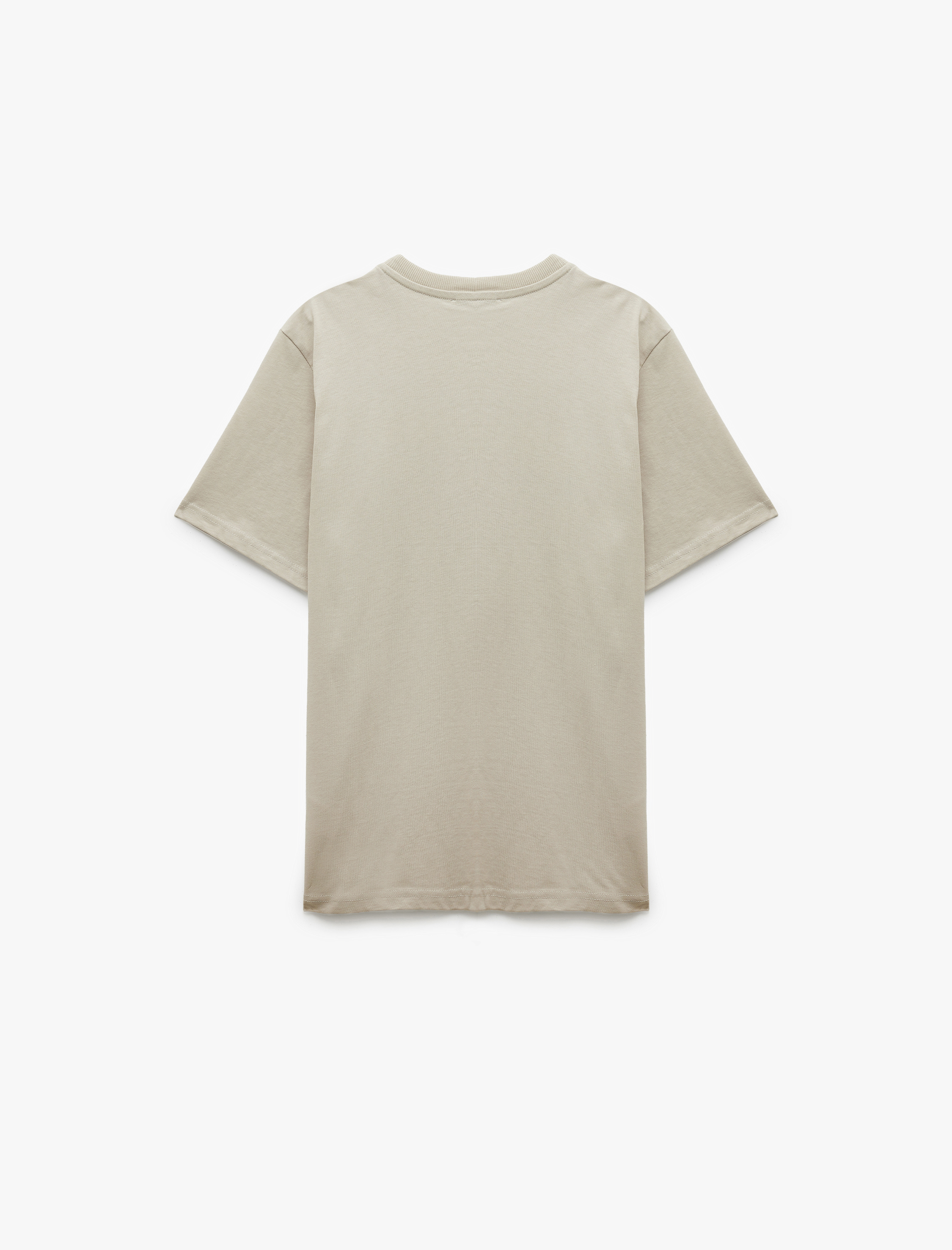   Nakış Detaylı Bisiklet Yaka Kısa Kollu Pamuklu Tişört