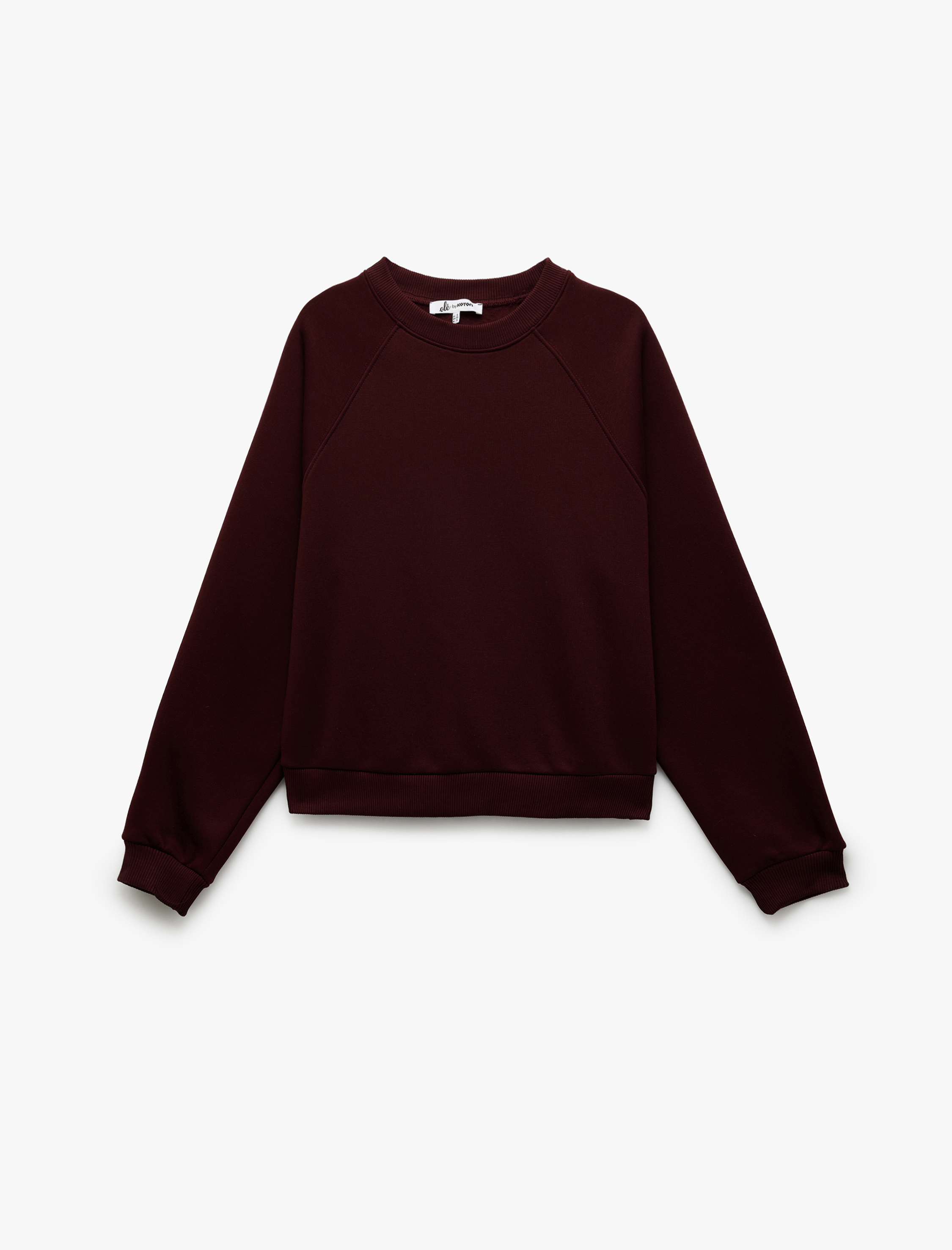   Üç İplik Şardonlu Dikiş Detaylı Bisiklet Yaka Oversize Sweatshirt