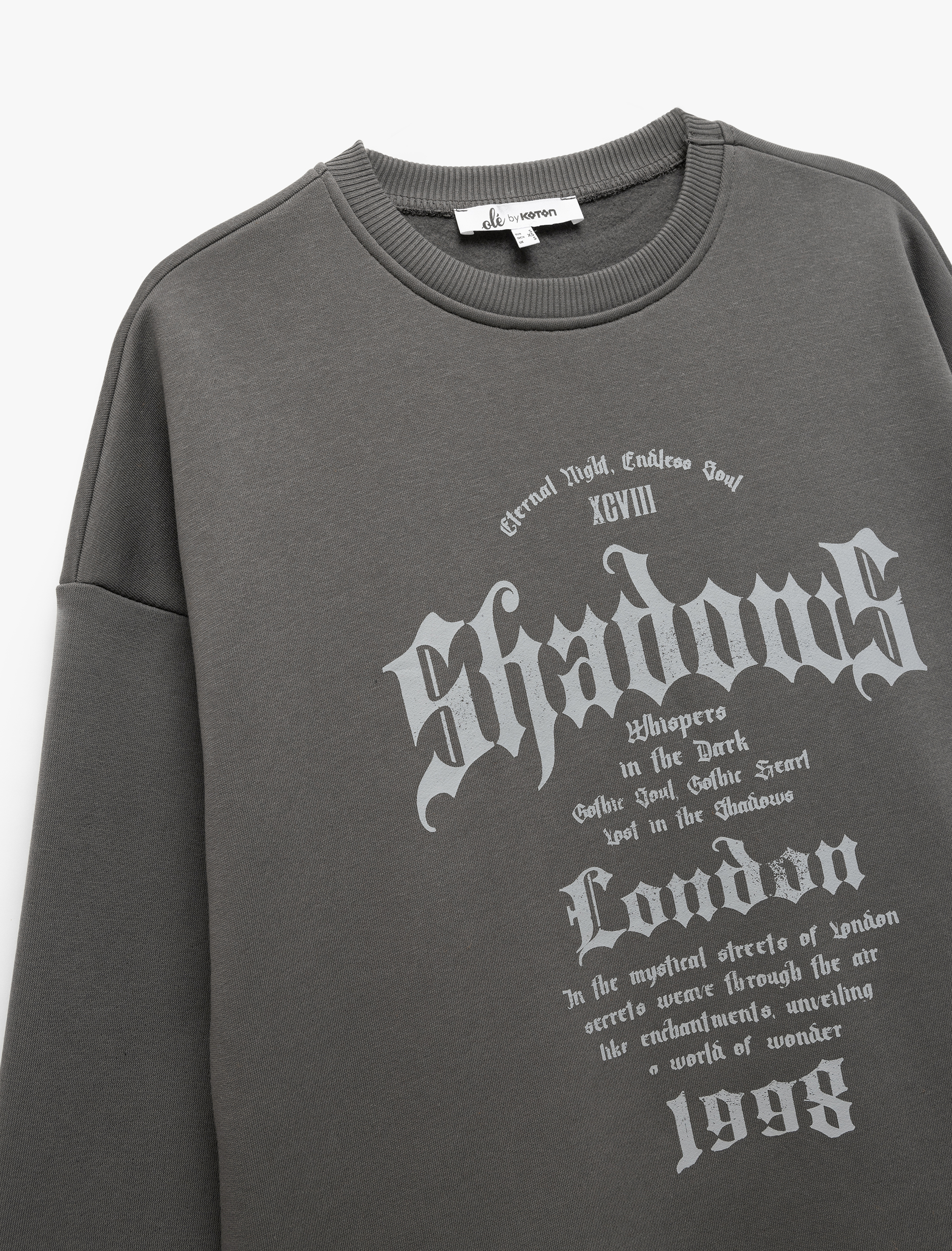   Üç İplik Şardonlu Bisiklet Yaka Baskılı Oversize Sweatshirt