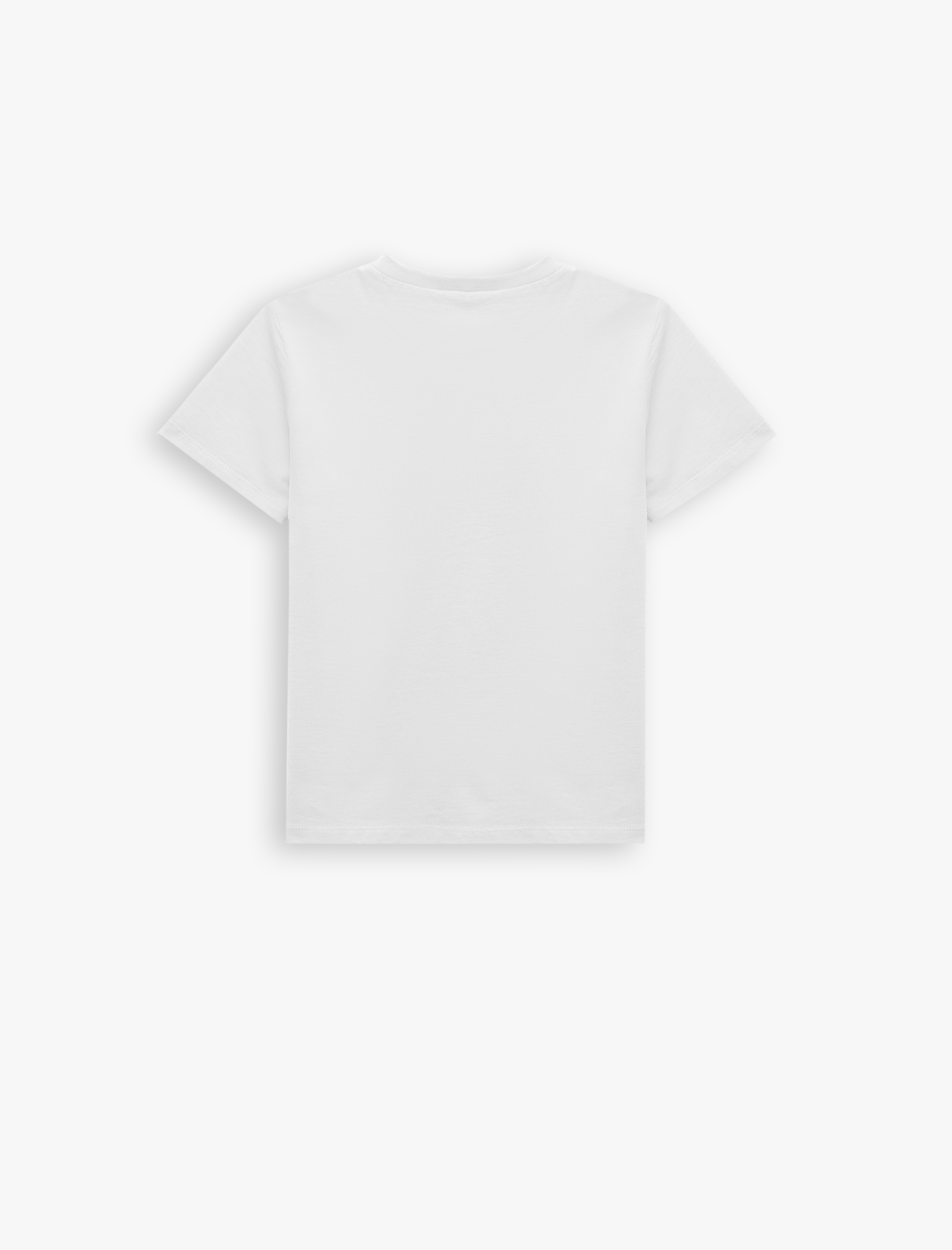  Erkek Çocuk Pamuklu Kısa Kollu Bisiklet Yaka Basic Tişört Seti