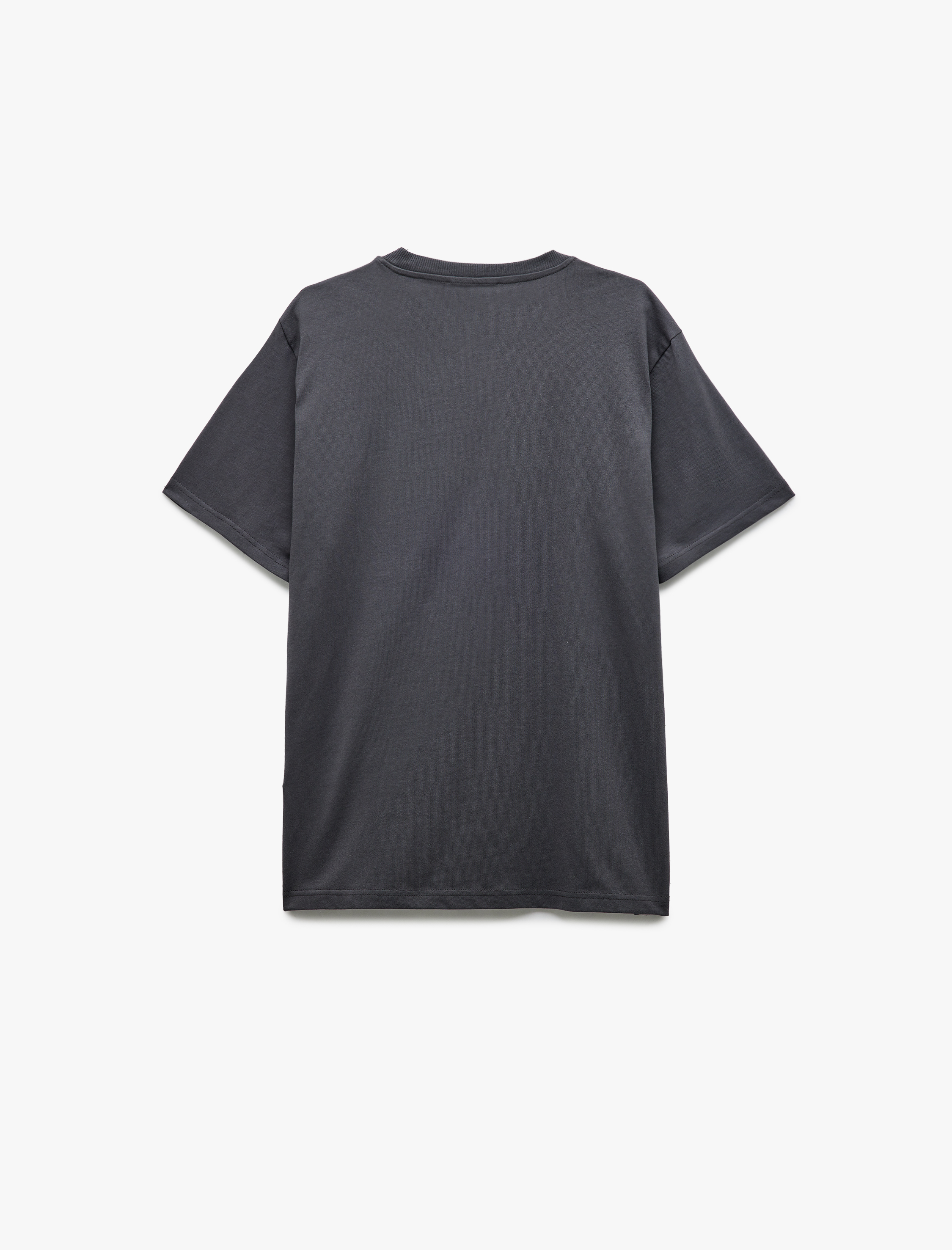   Kısa Kollu Regular Fit Bisiklet Yaka Pamuklu Baskılı Tişört