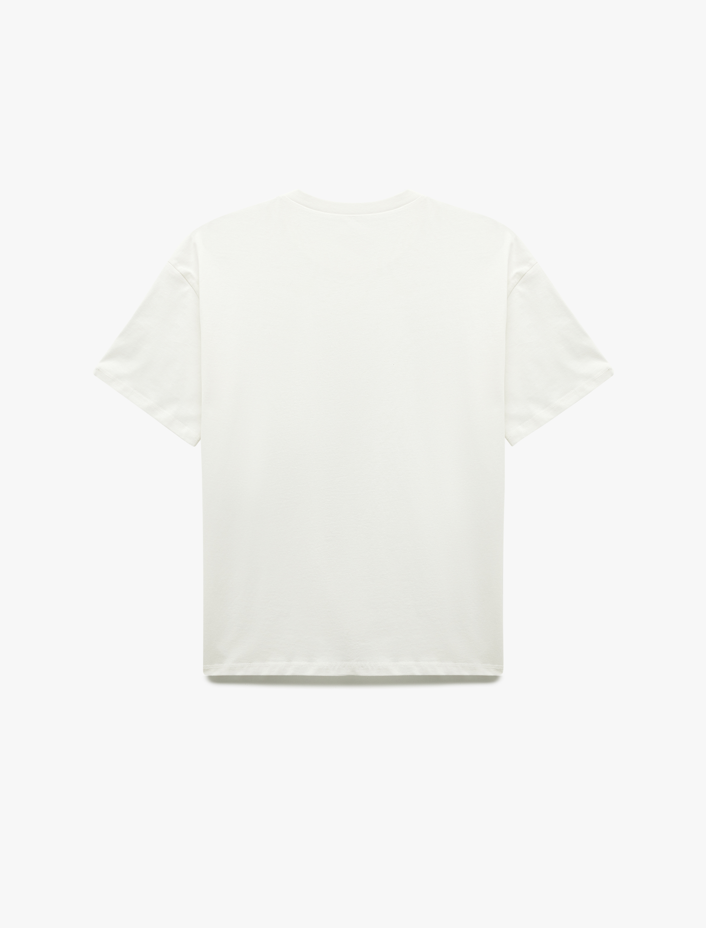   Kısa Kollu Bisiklet Yaka Pamuklu Nakışlı Tişört