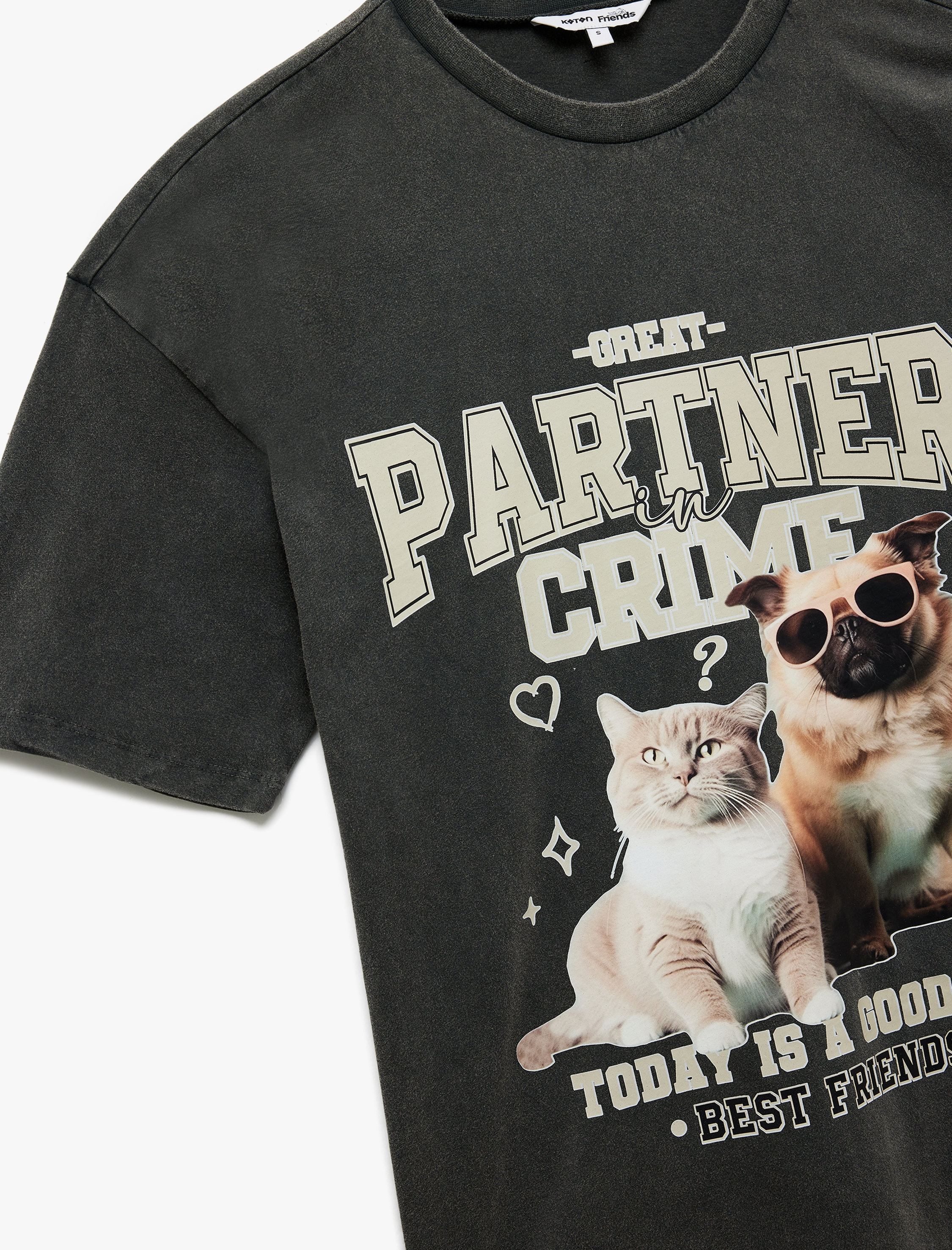 Bisiklet Yaka Kısa Kollu Pamuklu Kedi ve Köpek Baskılı Oversize Tişört