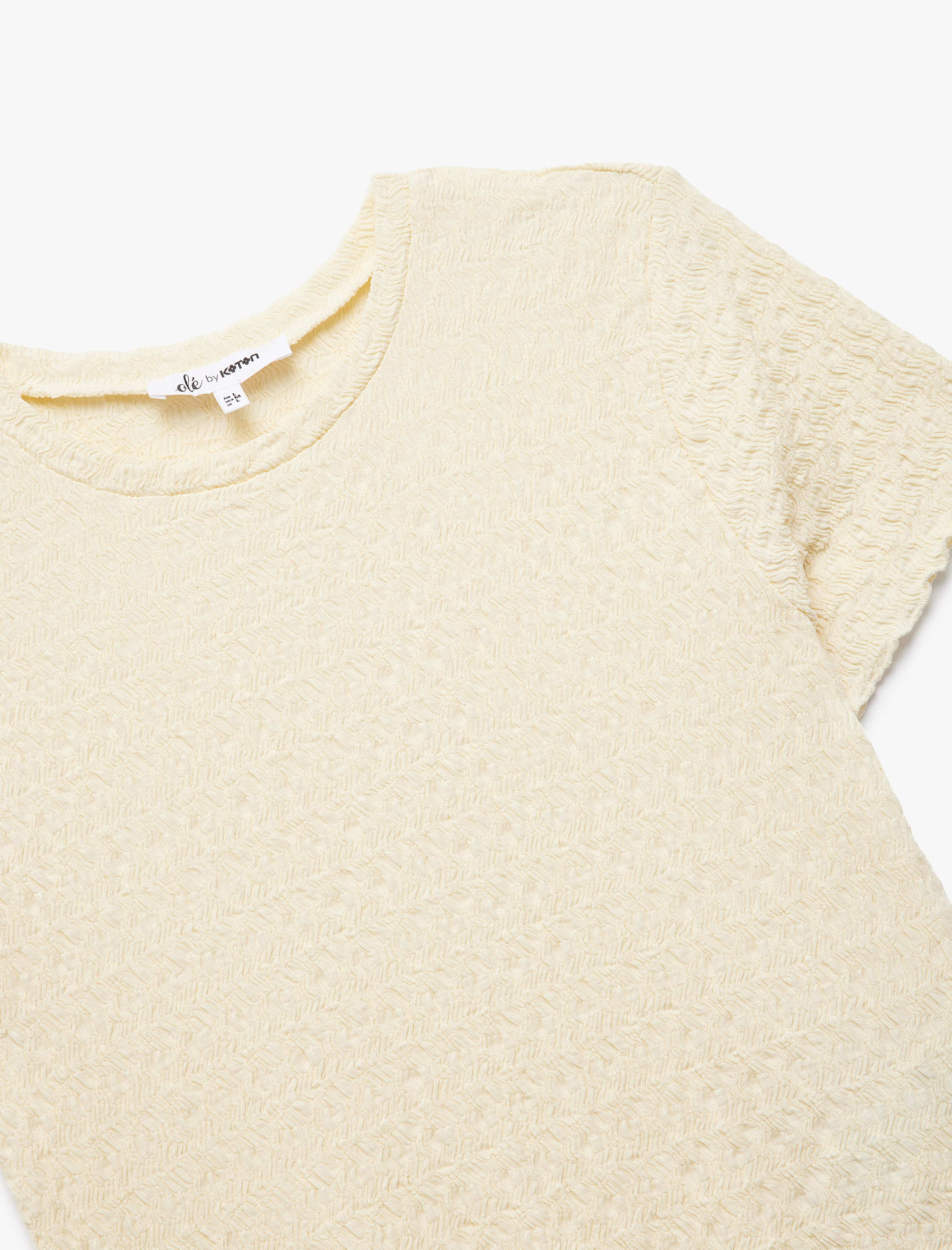   Basic Kısa Kollu Bisiklet Yaka Dokulu Crop Tişört Bürümcük