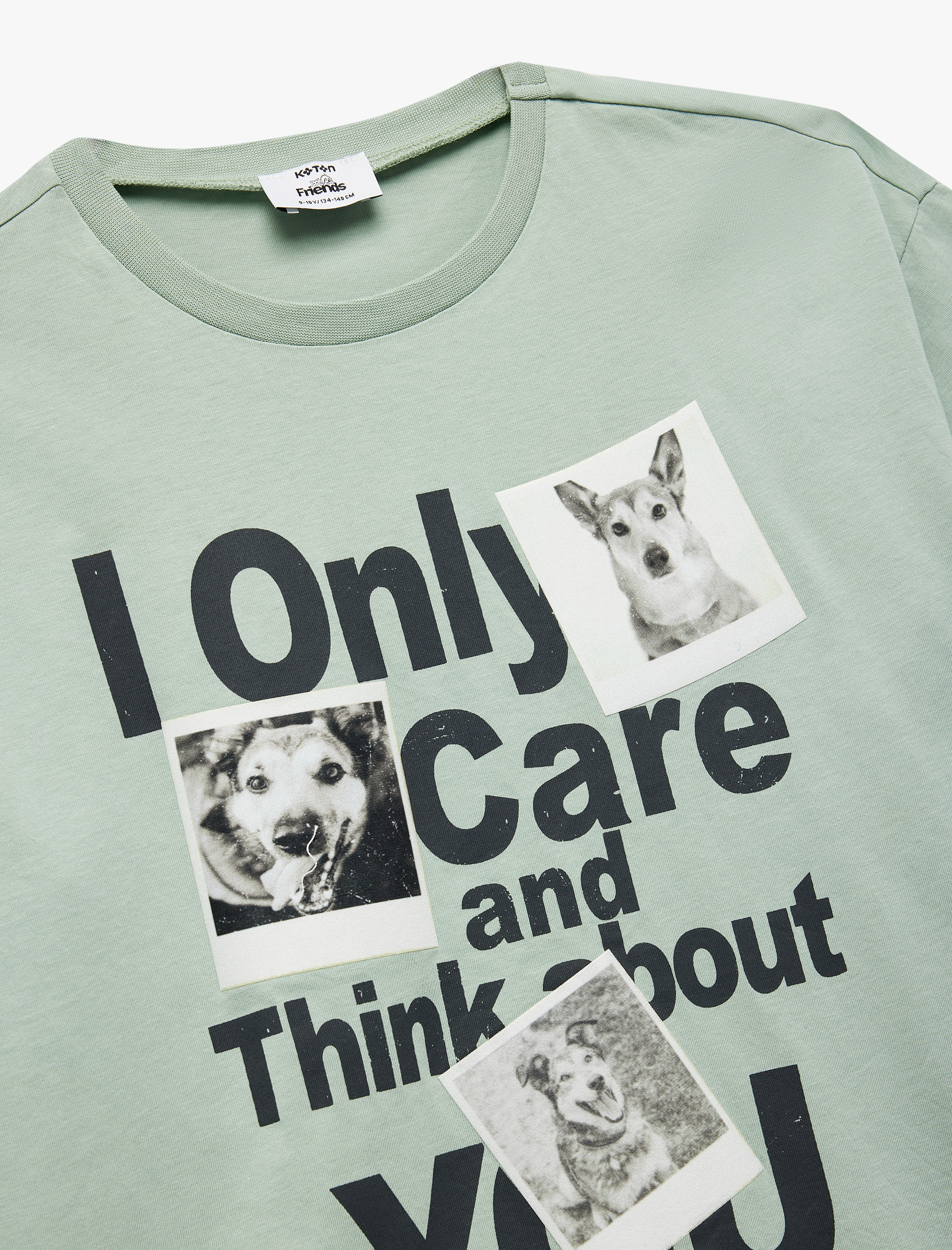  Erkek Çocuk Kısa Kollu Bisiklet Yaka Pamuklu Kedi ve Köpek Baskılı Tişört