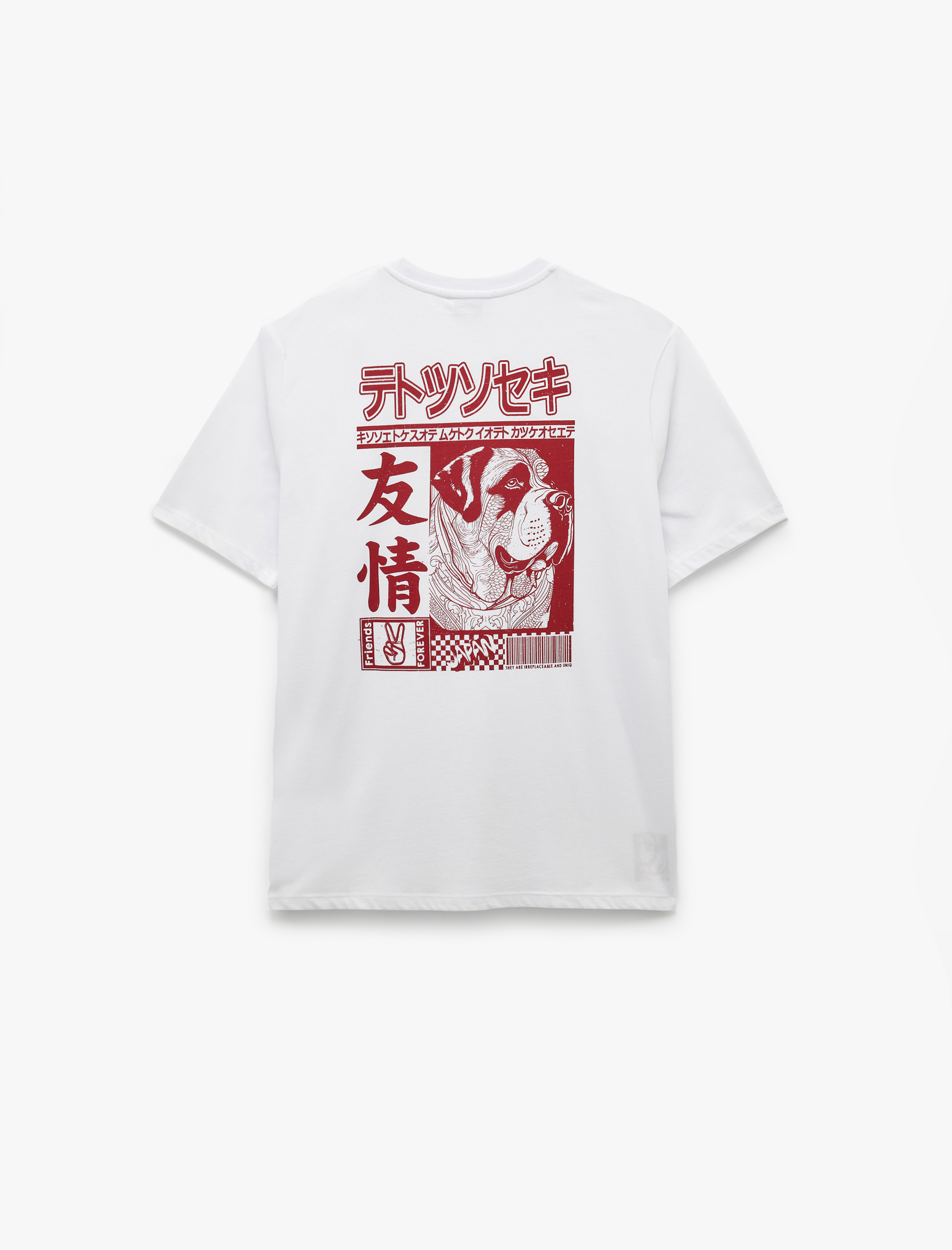   Kısa Kollu Pamuklu Regular Fit Bisiklet Yaka Arkası Baskılı Tişört