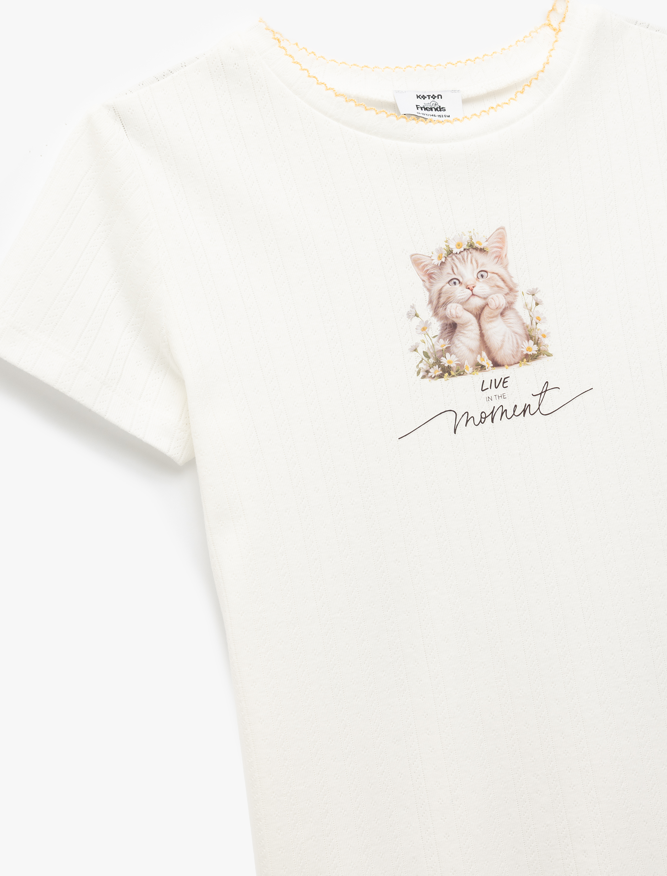  Kız Çocuk Kedi Baskılı Kısa Kollu Bisiklet Yaka Tişört