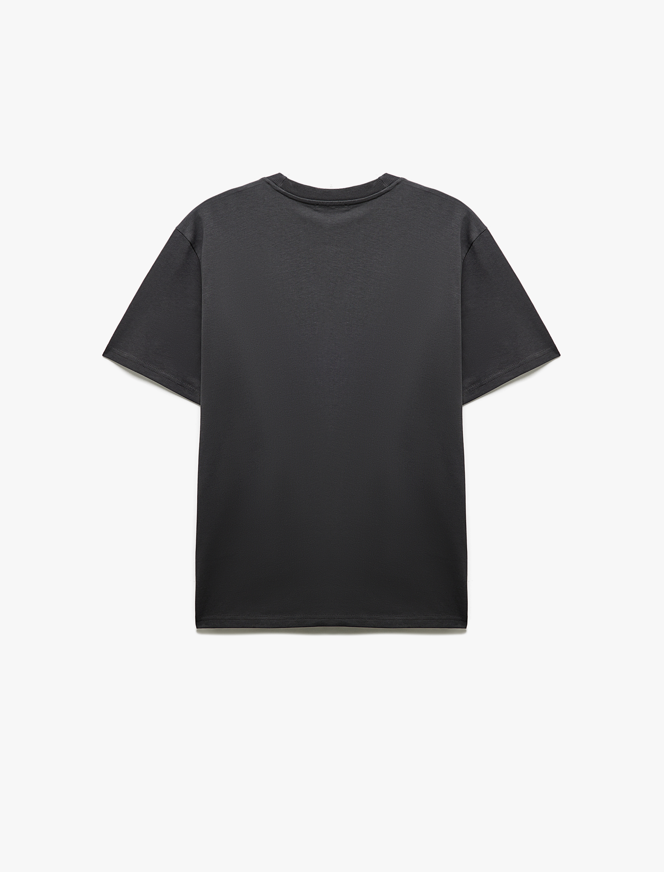   Baskılı Pamuklu Kısa Kollu Regular Fit Bisiklet Yaka Tişört