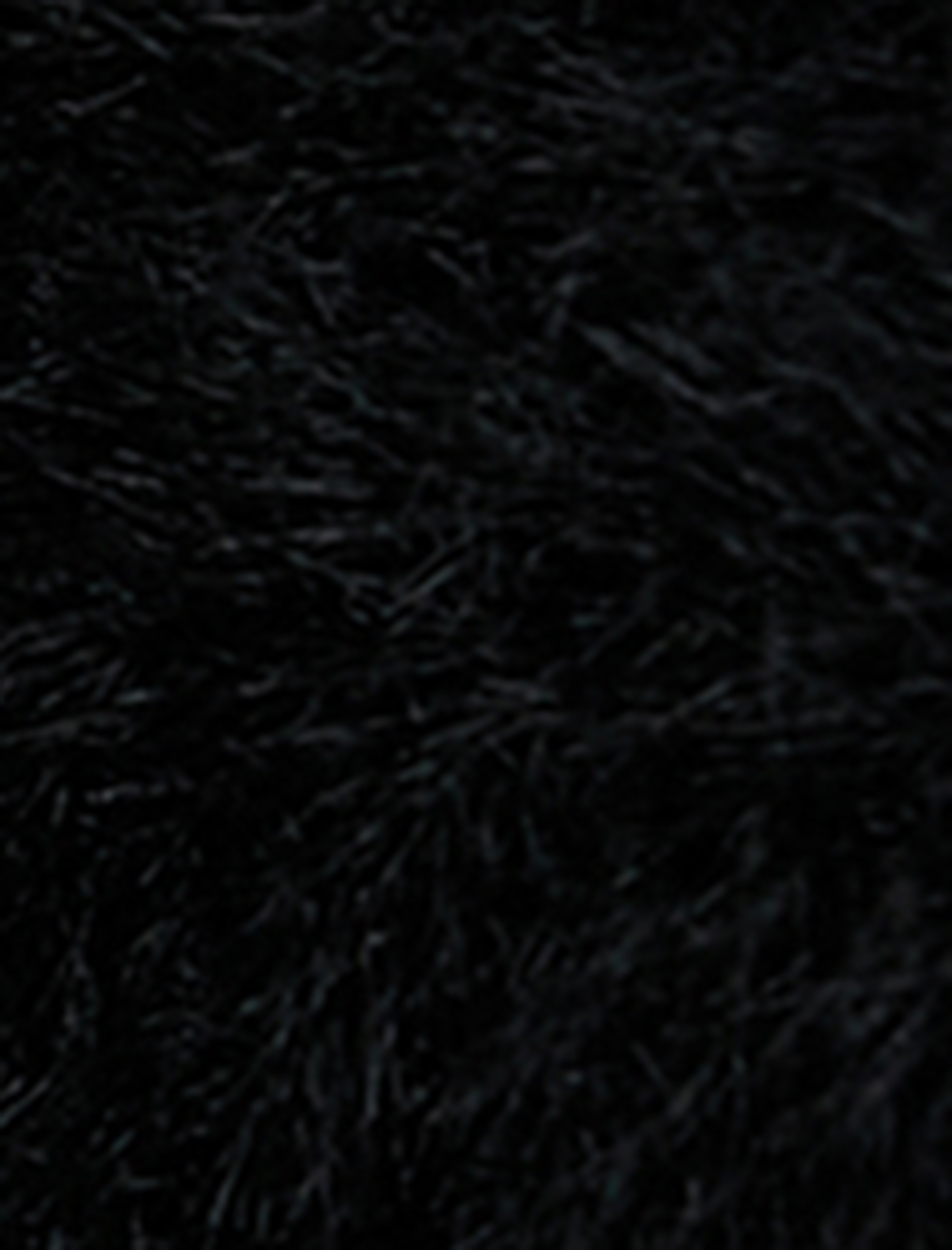  Kadın Peluş Bucket Şapka