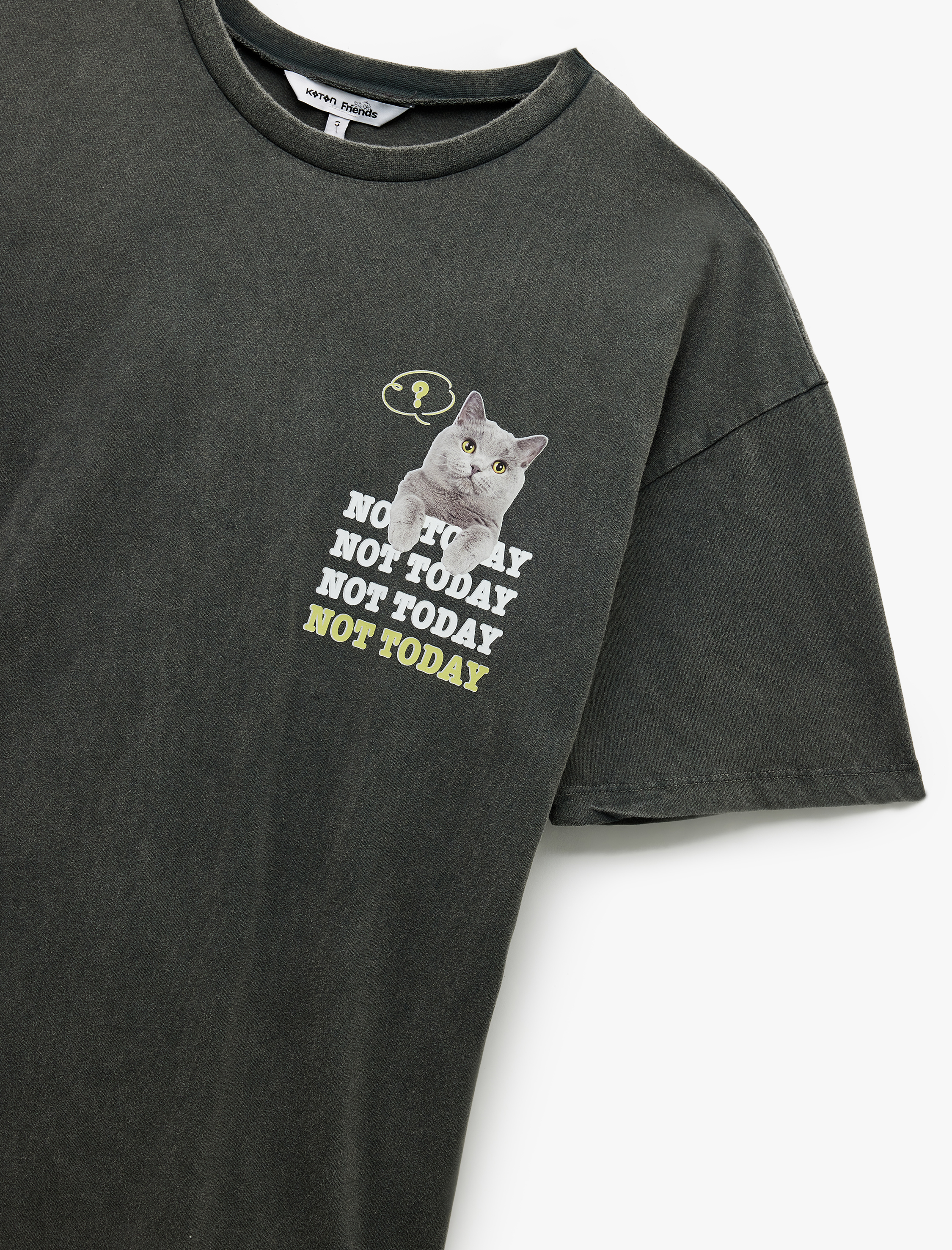   Kısa Kollu Bisiklet Yaka Pamuklu Yıkamalı Arkası Kedi Baskılı Oversize Tişört