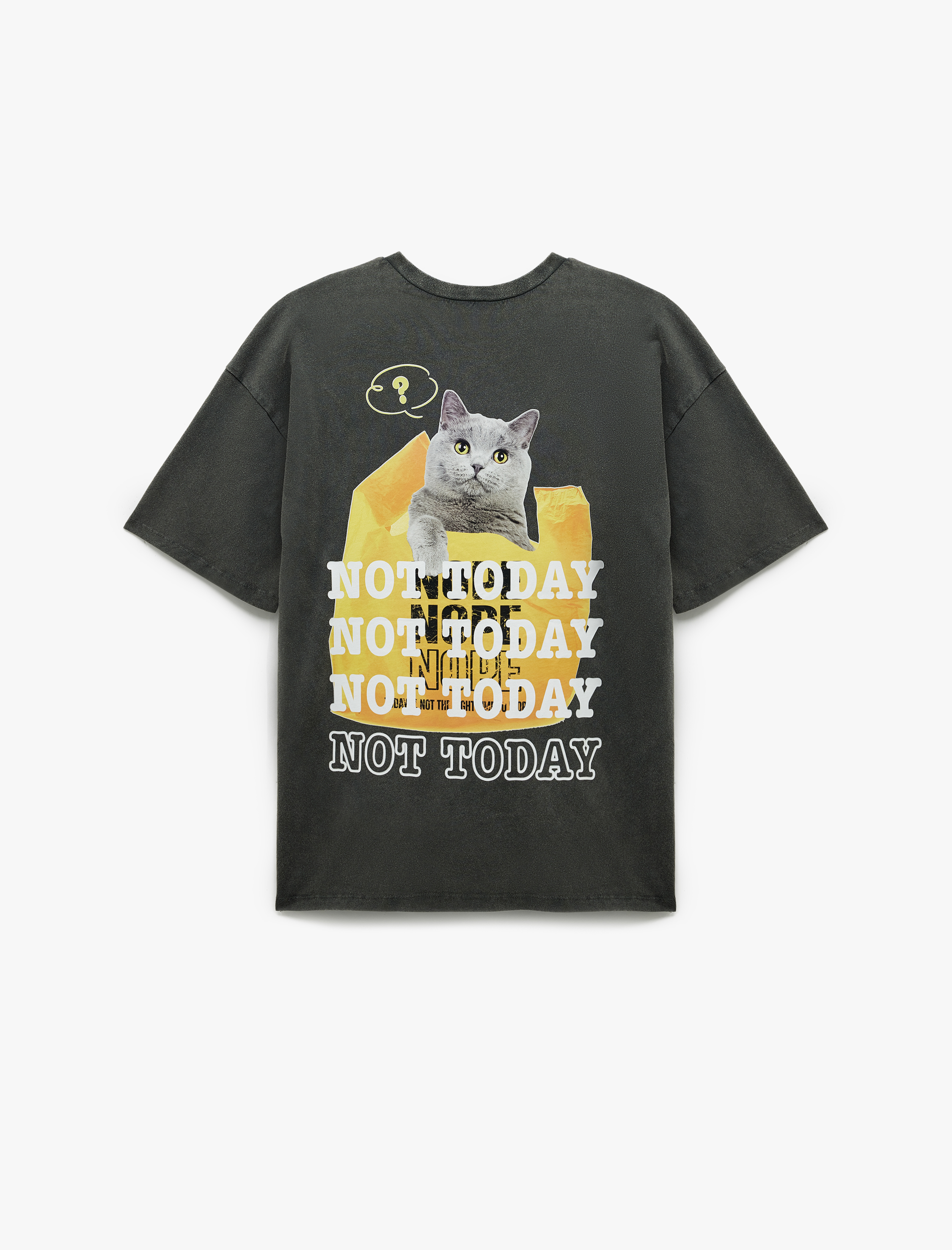   Kısa Kollu Bisiklet Yaka Pamuklu Yıkamalı Arkası Kedi Baskılı Oversize Tişört