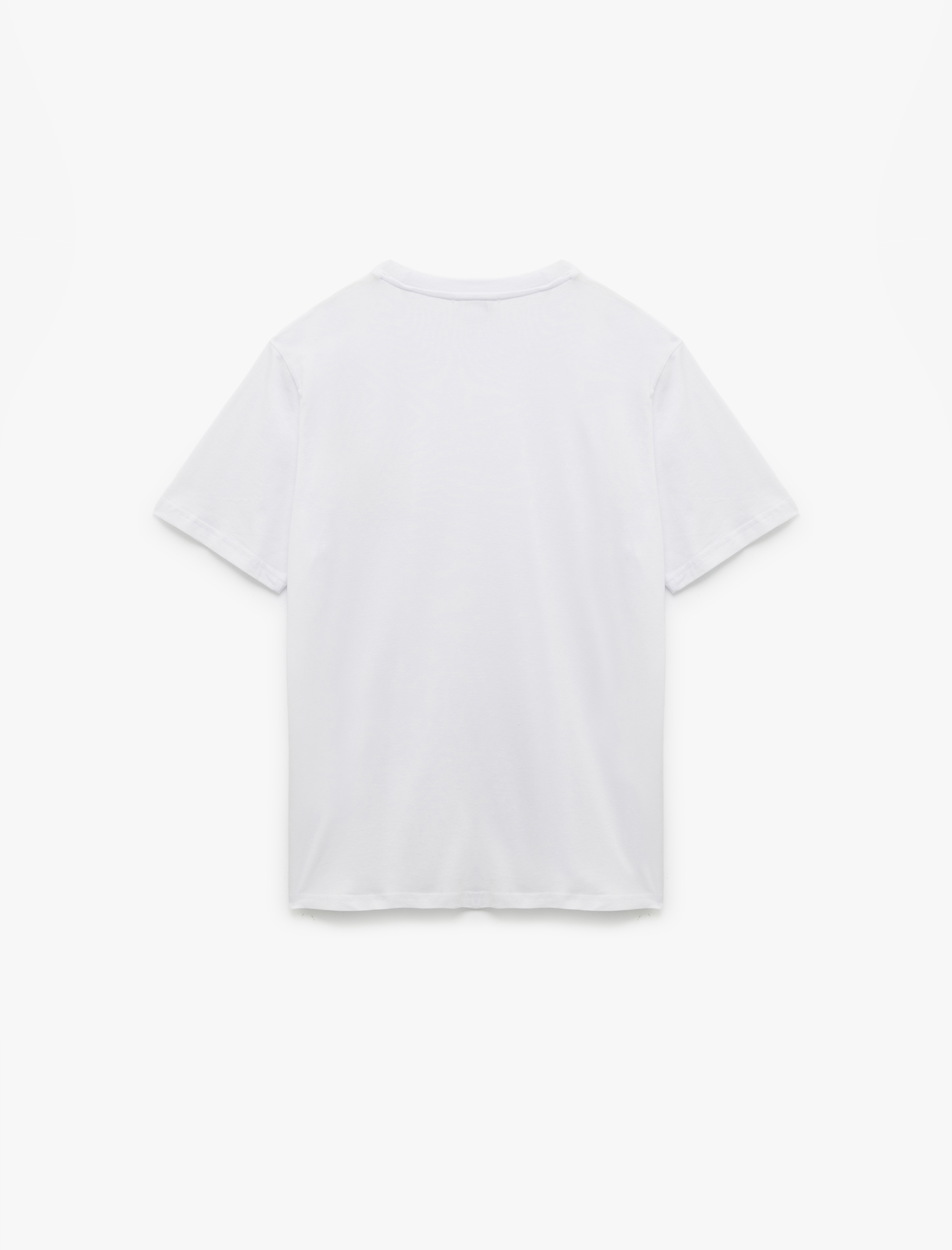   Kısa Kollu Pamuklu Regular Fit Bisiklet Yaka Köpek Baskılı Tişört