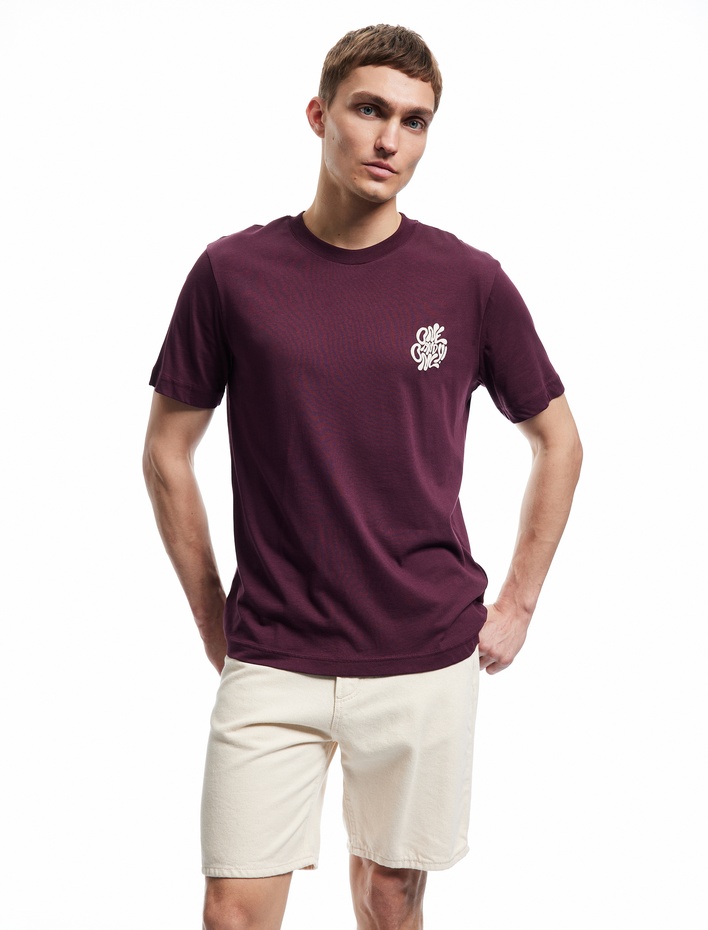  Pamuklu Regular Fit Kısa Kollu Bisiklet Yaka Baskılı Tişört