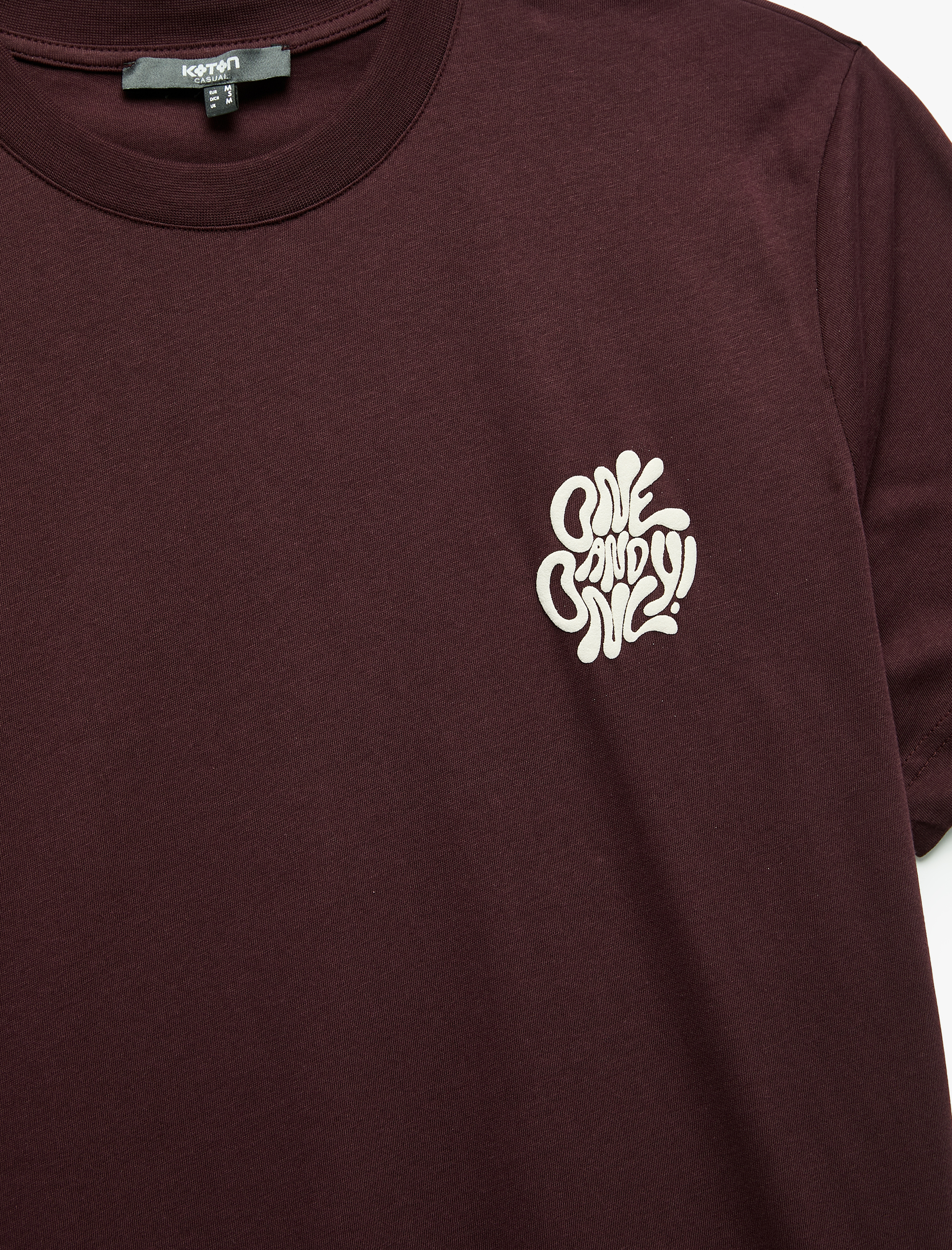   Pamuklu Regular Fit Kısa Kollu Bisiklet Yaka Baskılı Tişört