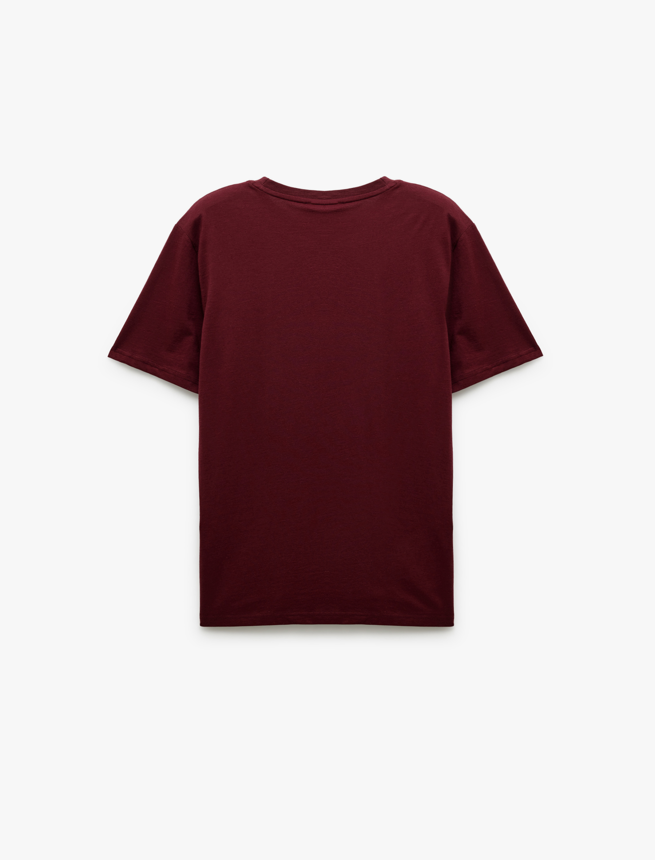   Kısa Kollu Regular Fit Pamuklu Bisiklet Yaka Baskılı Tişört