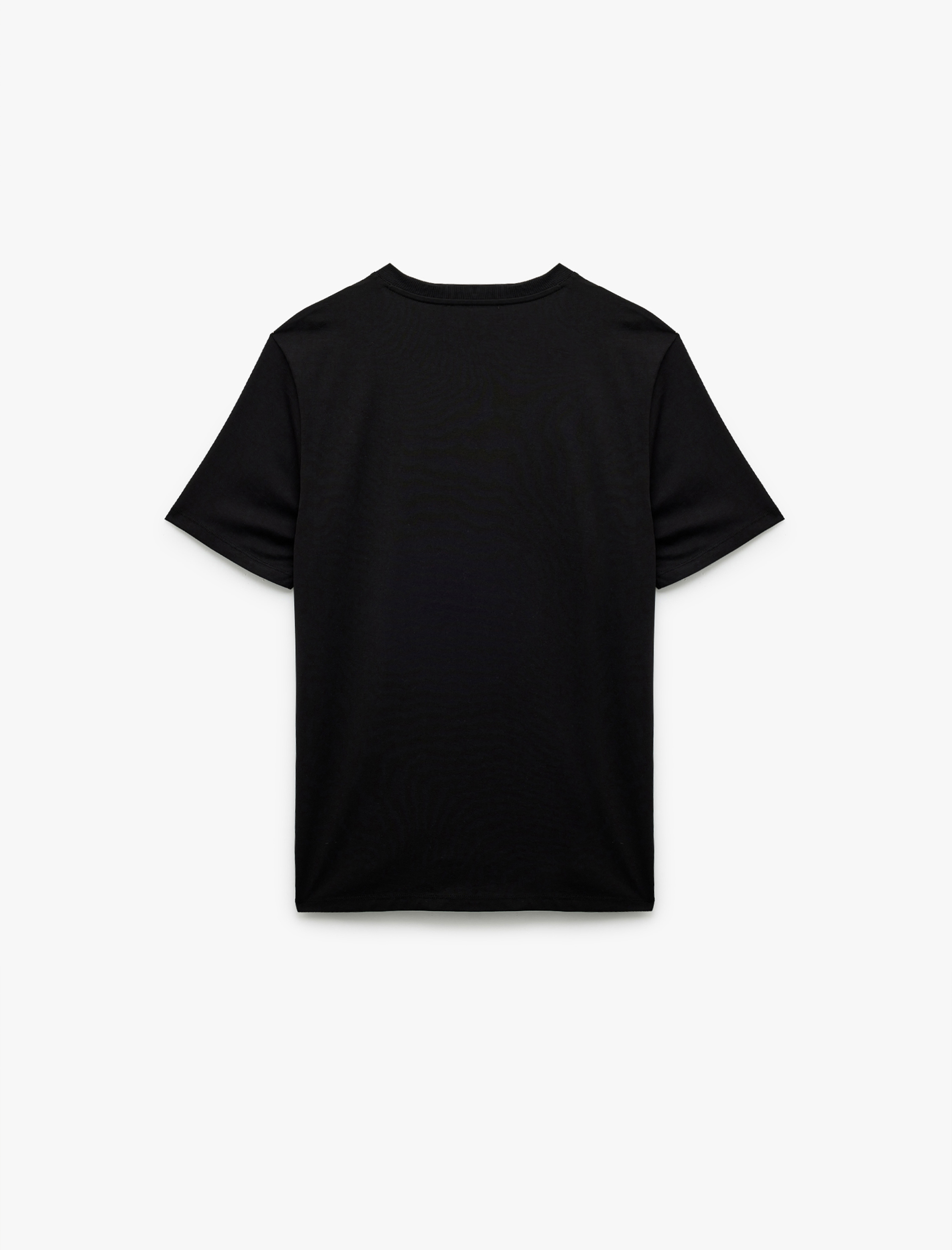   Bisiklet Yaka Pamuklu Regular Fit Kuru Kafa İşlemeli Kısa Kollu Tişört