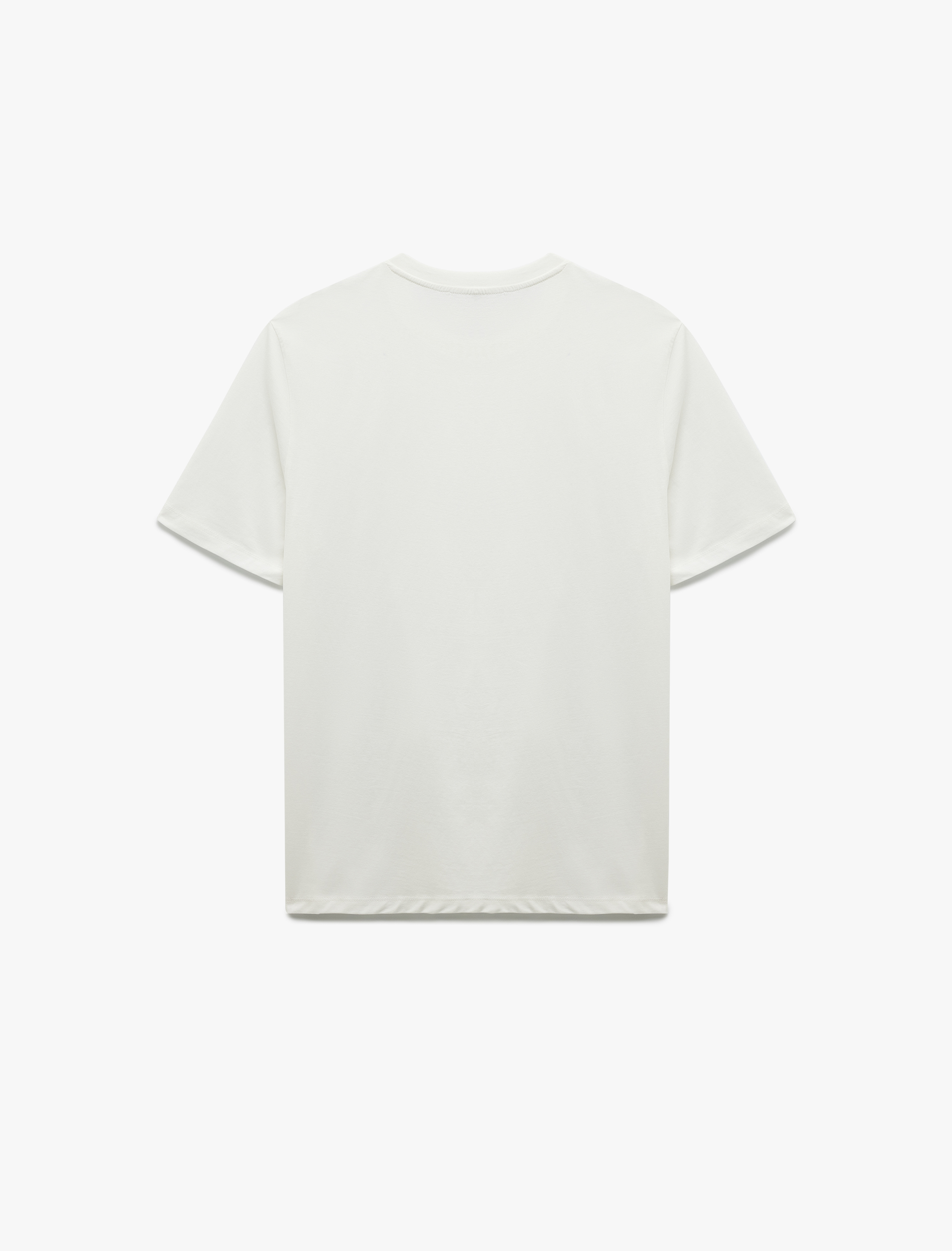   Pamuklu Kısa Kollu Regular Fit Bisiklet Yaka Uzak Doğu Baskılı Tişört