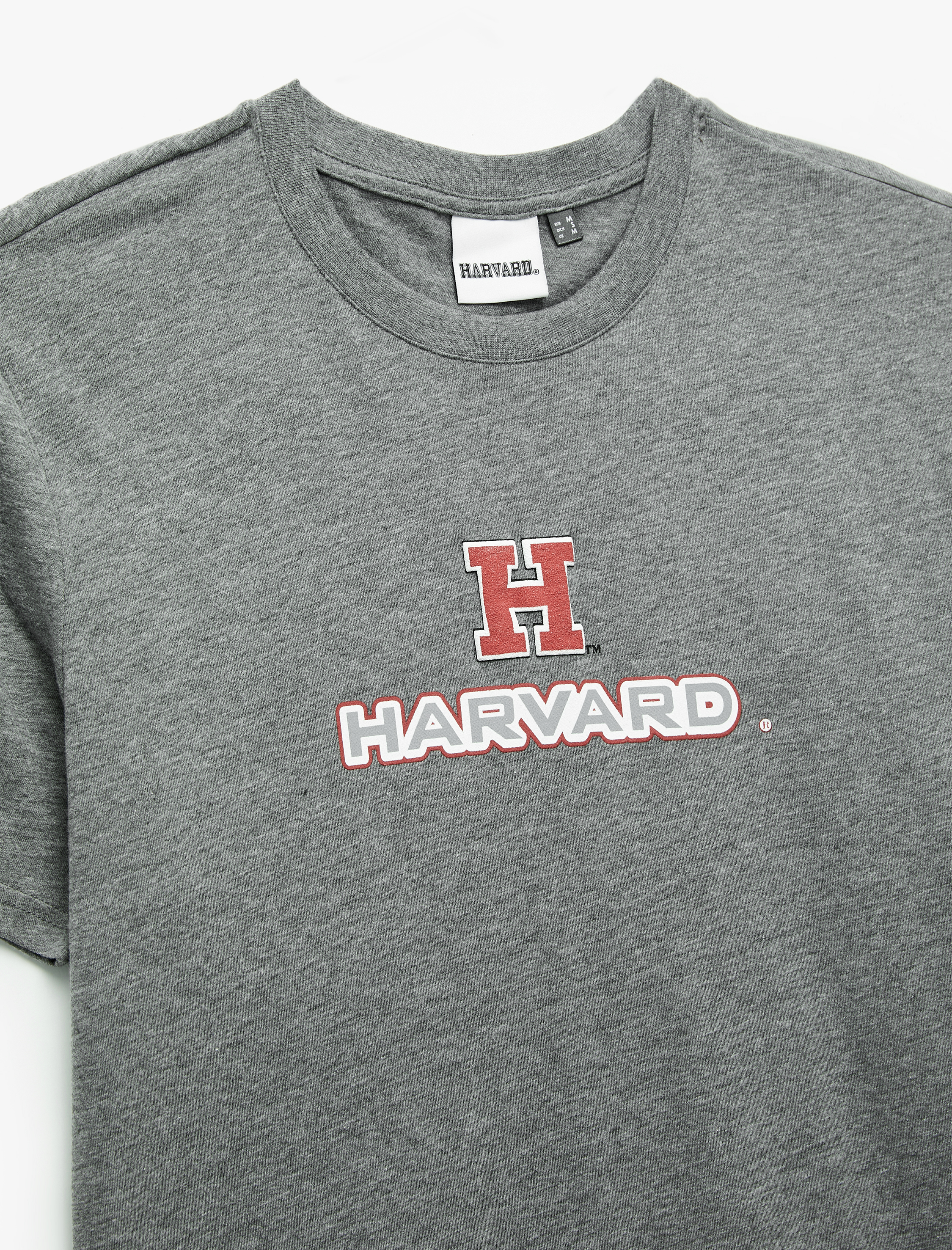   Kısa Kollu Regular Fit Bisiklet Yaka Baskılı Lisanslı Harvard Tişört