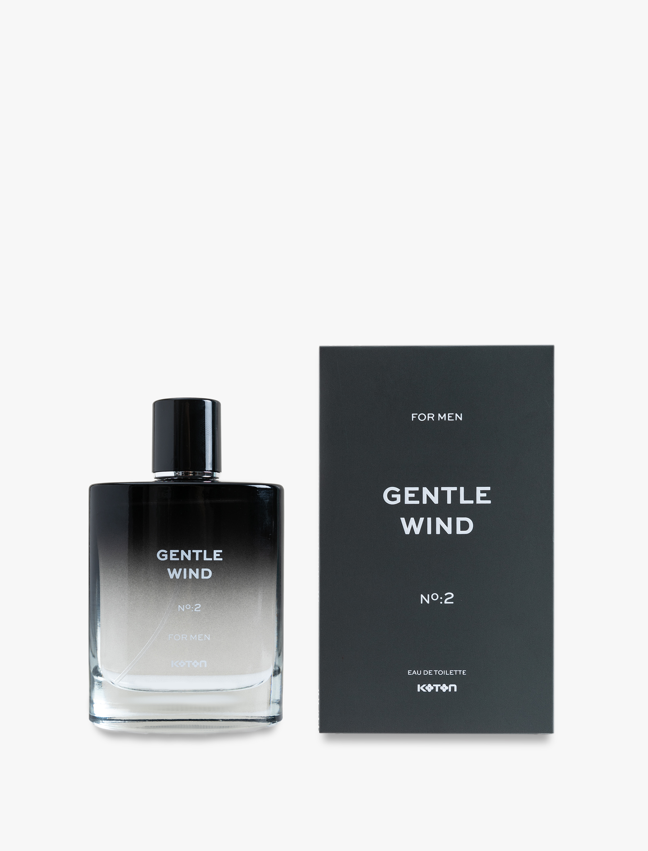  Erkek Parfüm Gentle Wind 100 ML