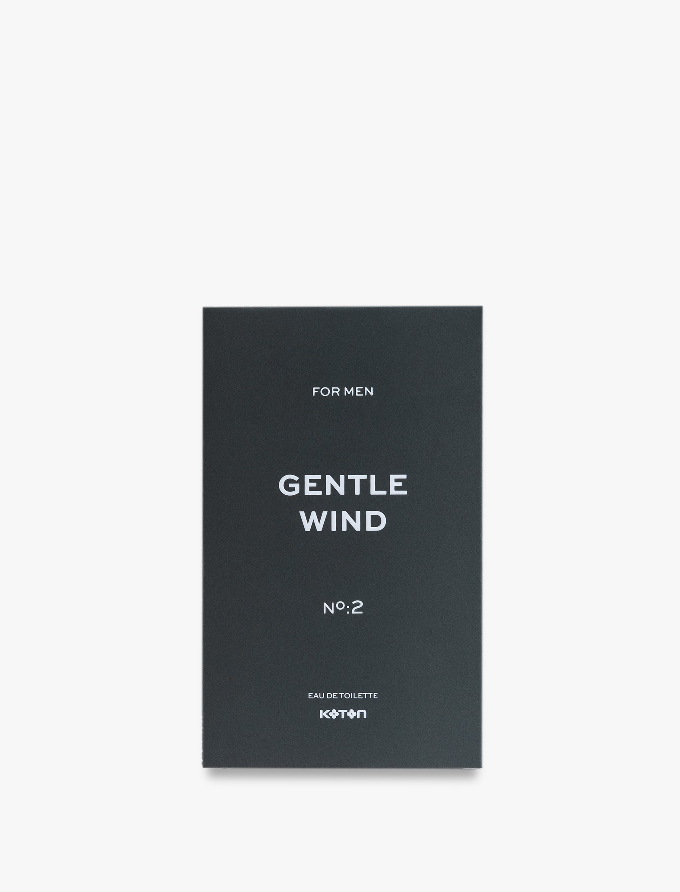  Erkek Parfüm Gentle Wind 100 ML