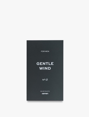 Parfüm Gentle Wind 100 ML_1