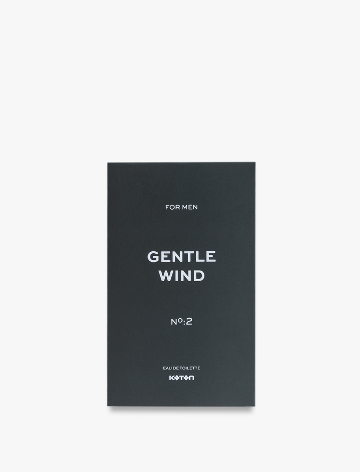 Erkek Parfüm Gentle Wind 100 ML