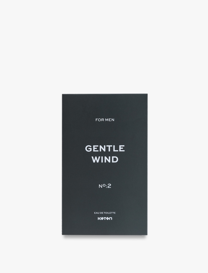  Erkek Parfüm Gentle Wind 100 ML