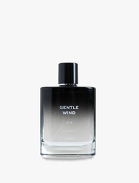 Parfüm Gentle Wind 100 ML