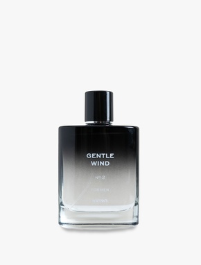Parfüm Gentle Wind 100 ML