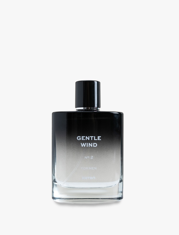 Parfüm Gentle Wind 100 ML_0