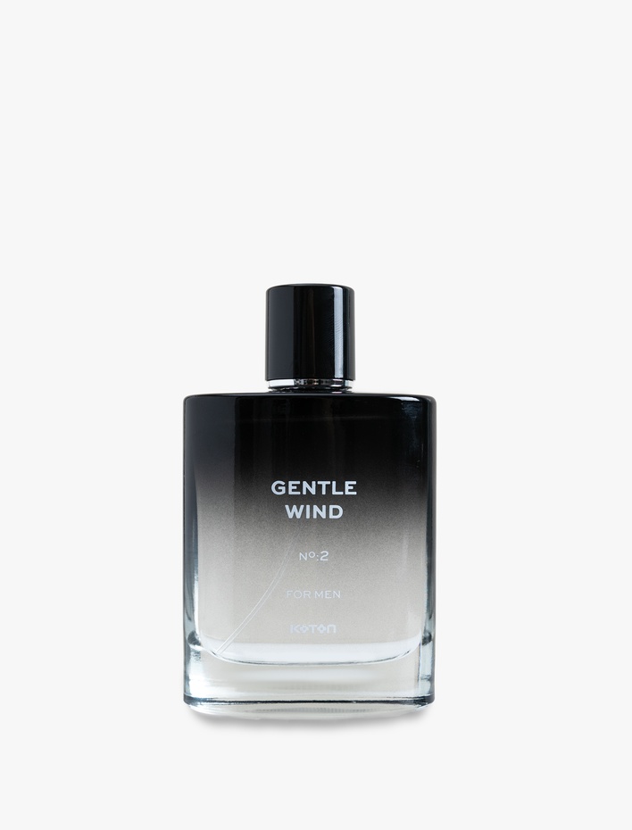 Erkek Parfüm Gentle Wind 100 ML