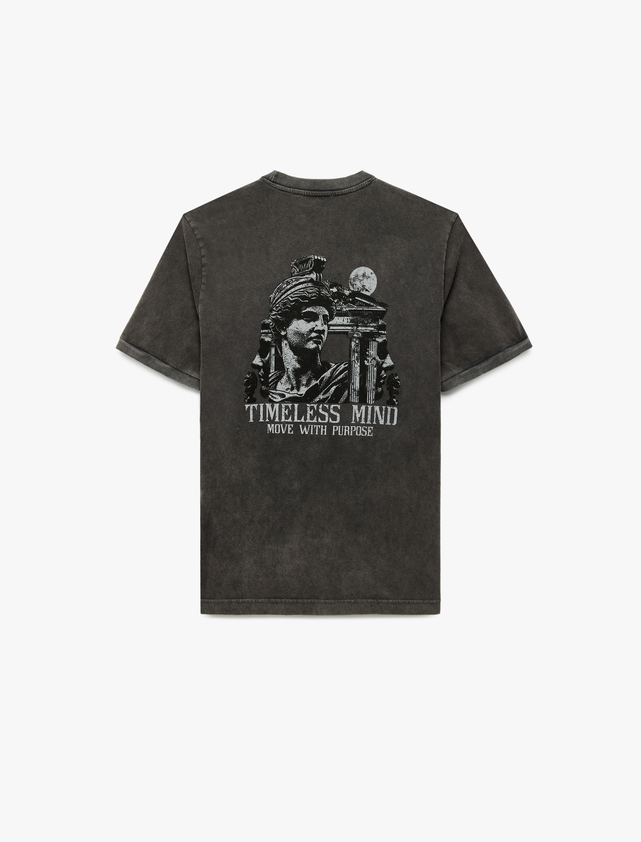   Pamuklu Kısa Kollu Regular Fit Bisiklet Yaka Yıkamalı Arkası Baskılı Tişört