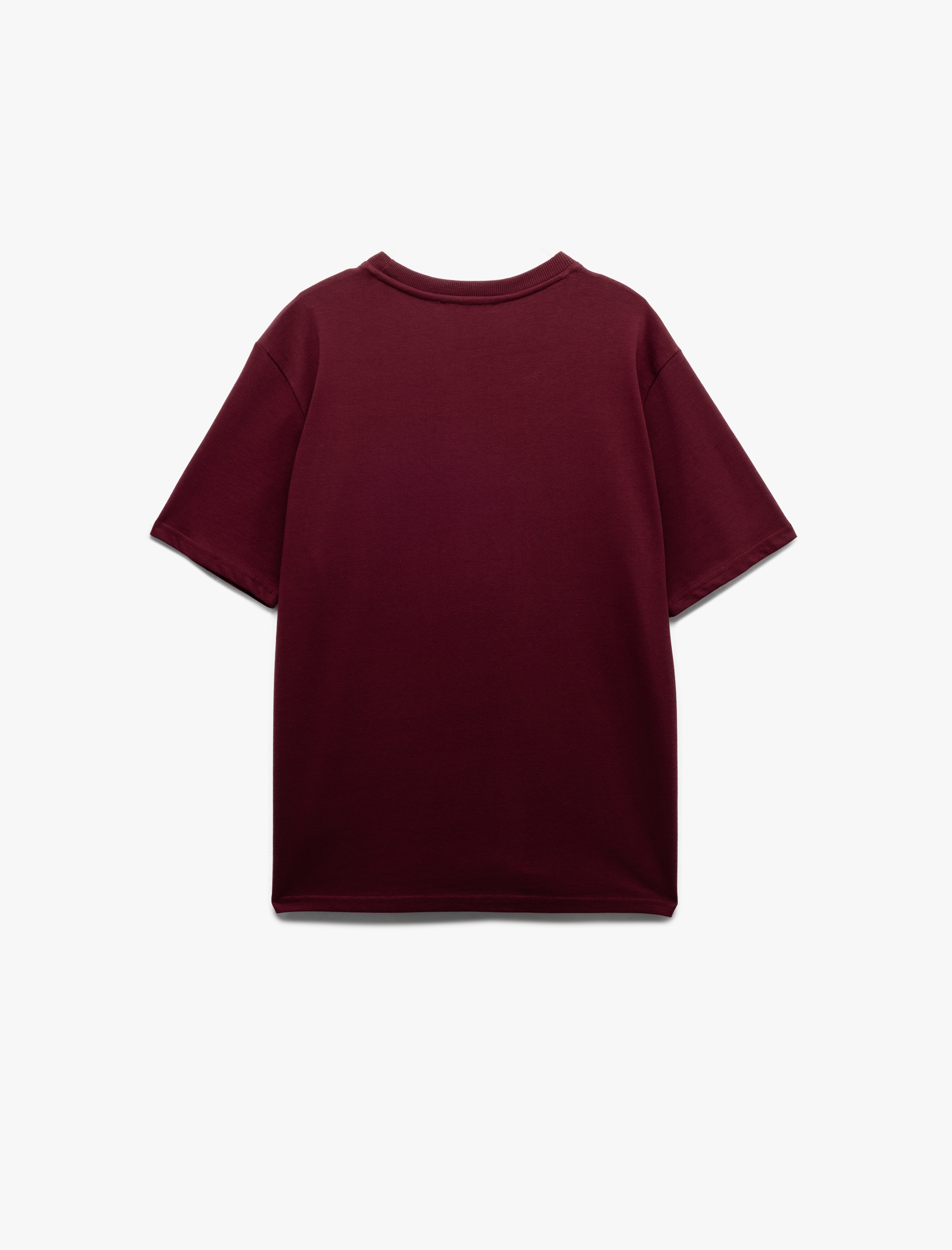   Bisiklet Yaka Regular Fit Tok Kumaş Pamuklu Kısa Kollu Tişört