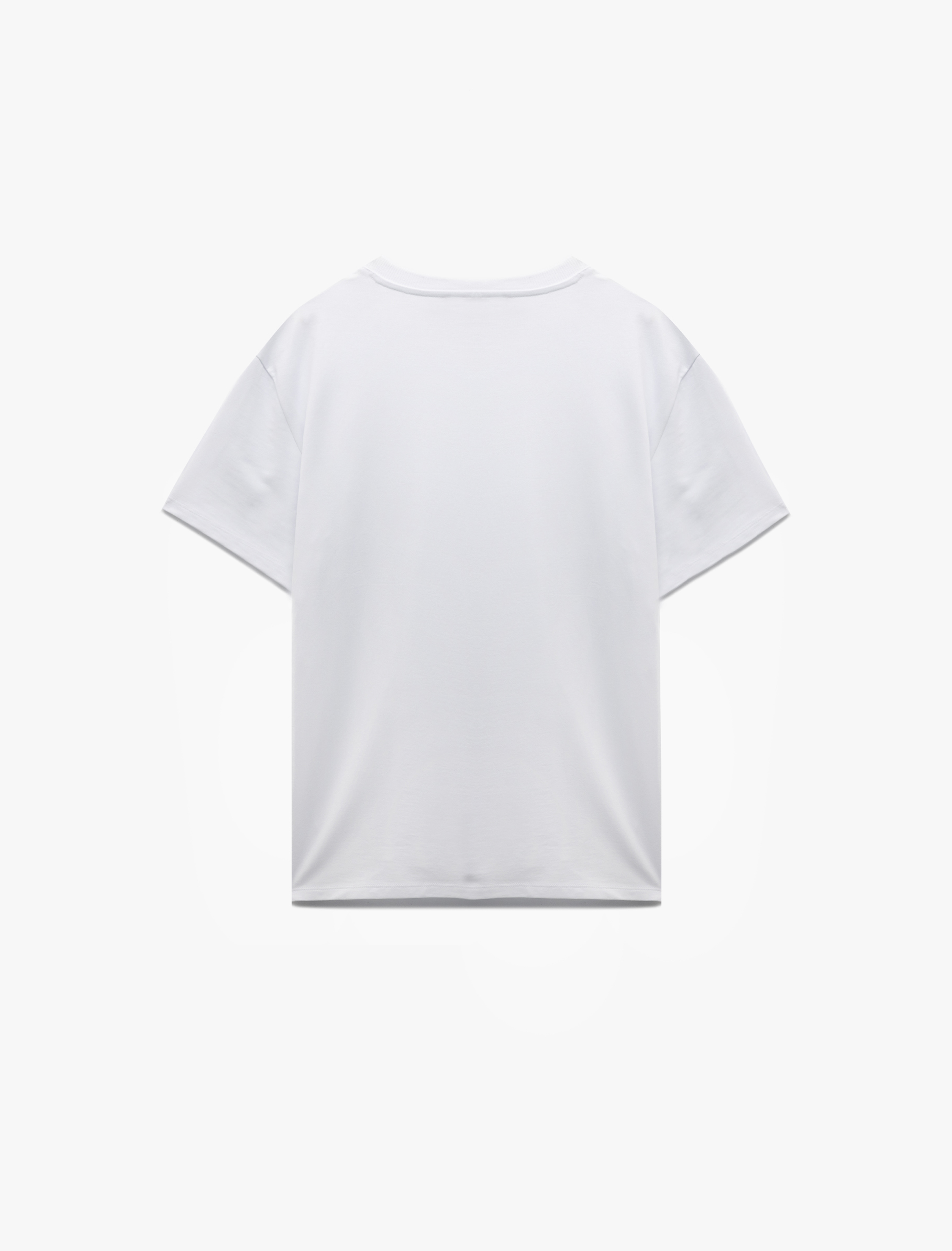   Kısa Kollu Bisiklet Yaka Tok Kumaş Regular Fit Pamuklu Tişört