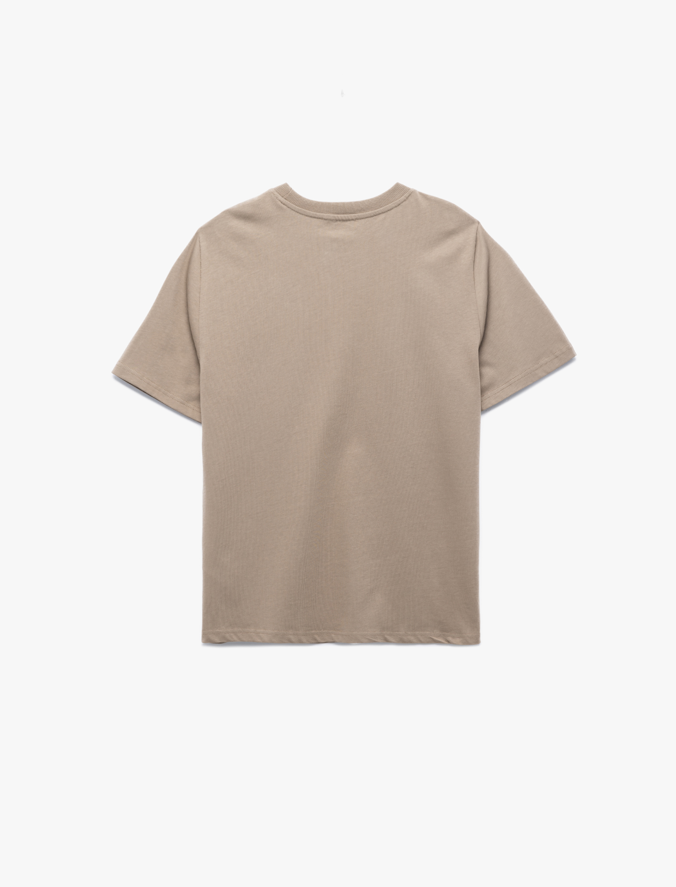   Pamuklu Kısa Kollu Regular Fit Bisiklet Yaka Minimal Baskılı Tişört