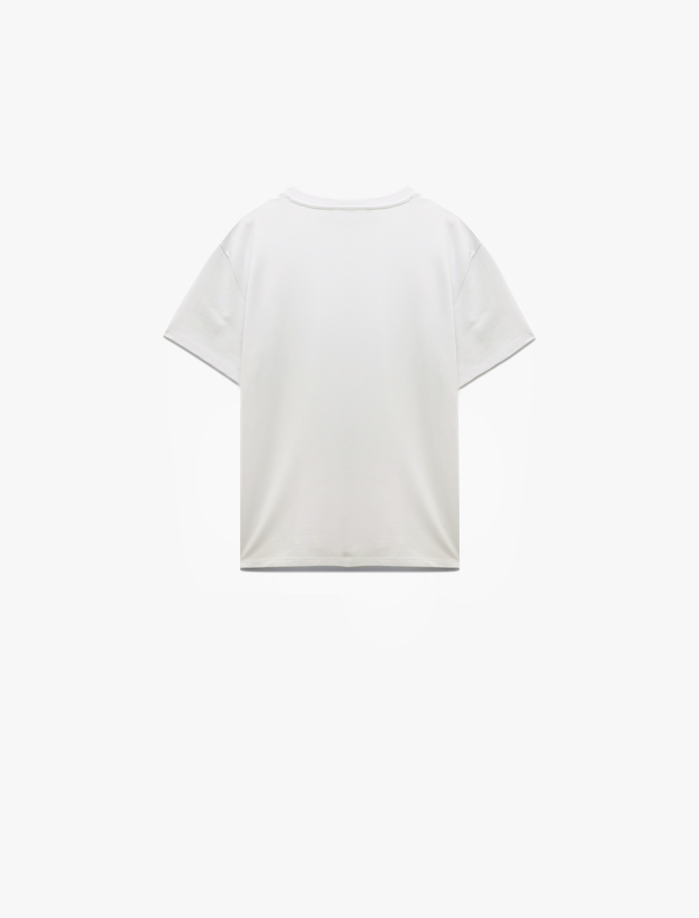   Bisiklet Yaka Regular Fit Tok Kumaş Pamuklu Kısa Kollu Tişört