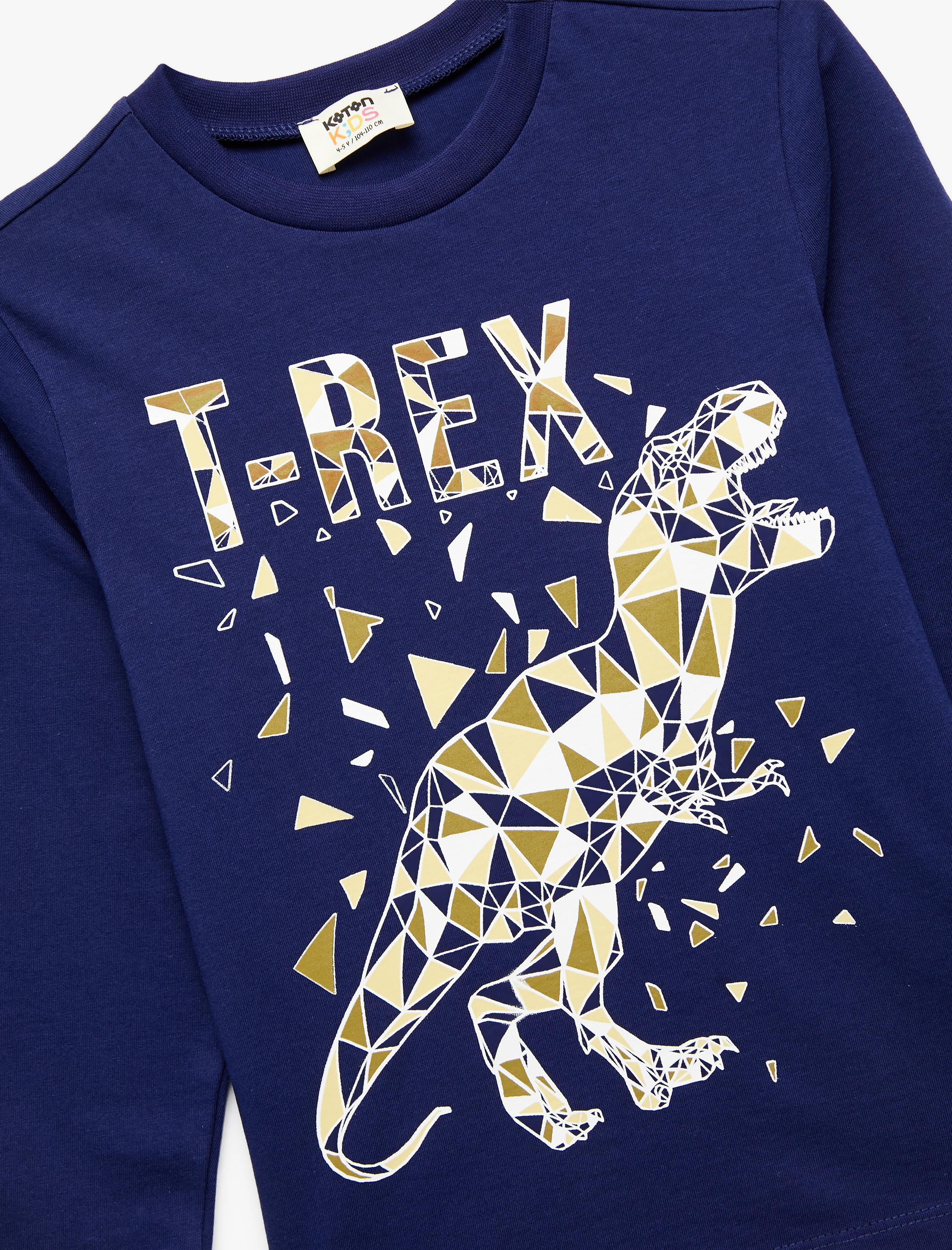  Erkek Çocuk Pamuklu Uzun Kollu Bisiklet Yaka Dinozor Baskılı Tişört