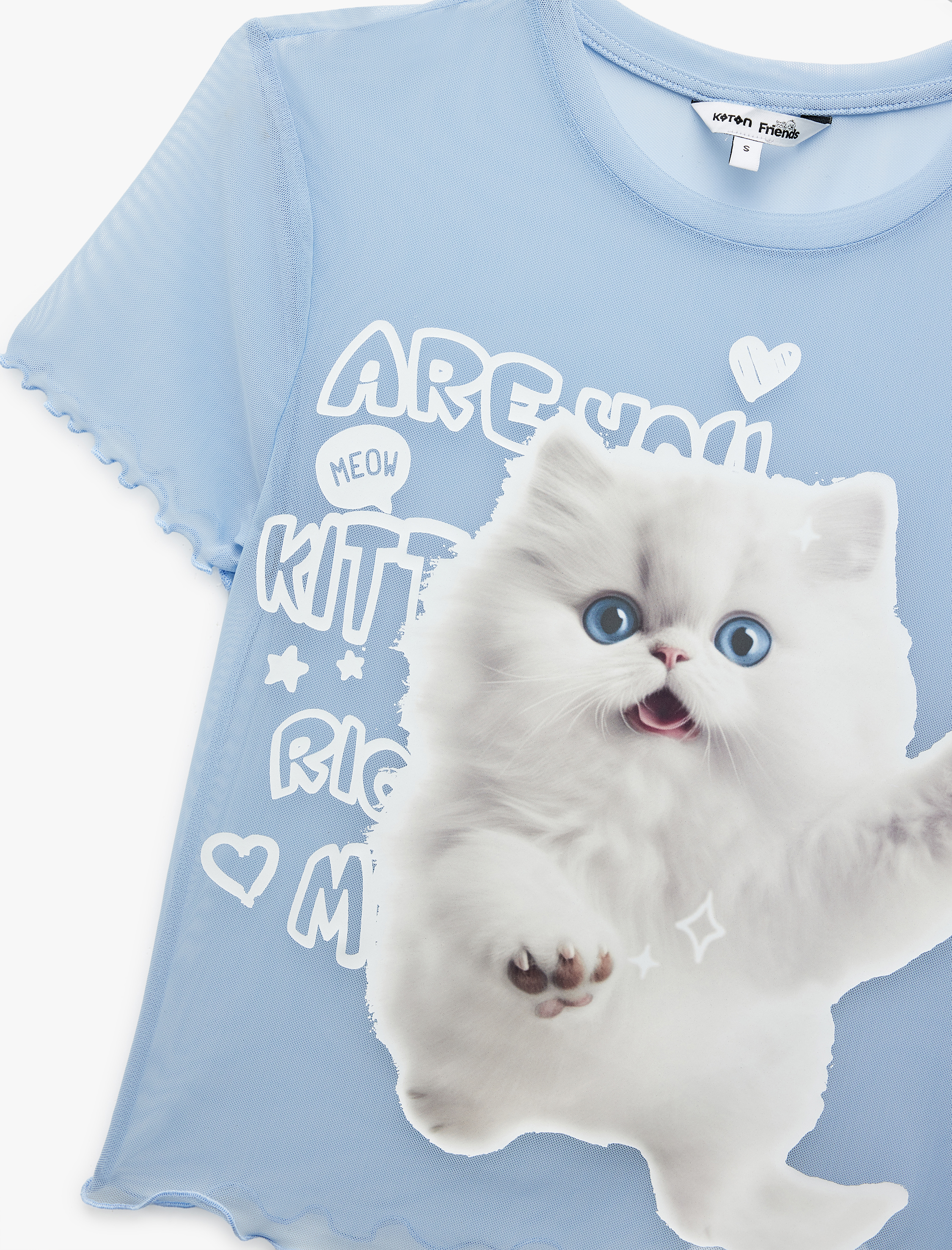   Kısa Kollu Bisiklet Yaka Slim Fit Kedi Baskılı Crop Tişört