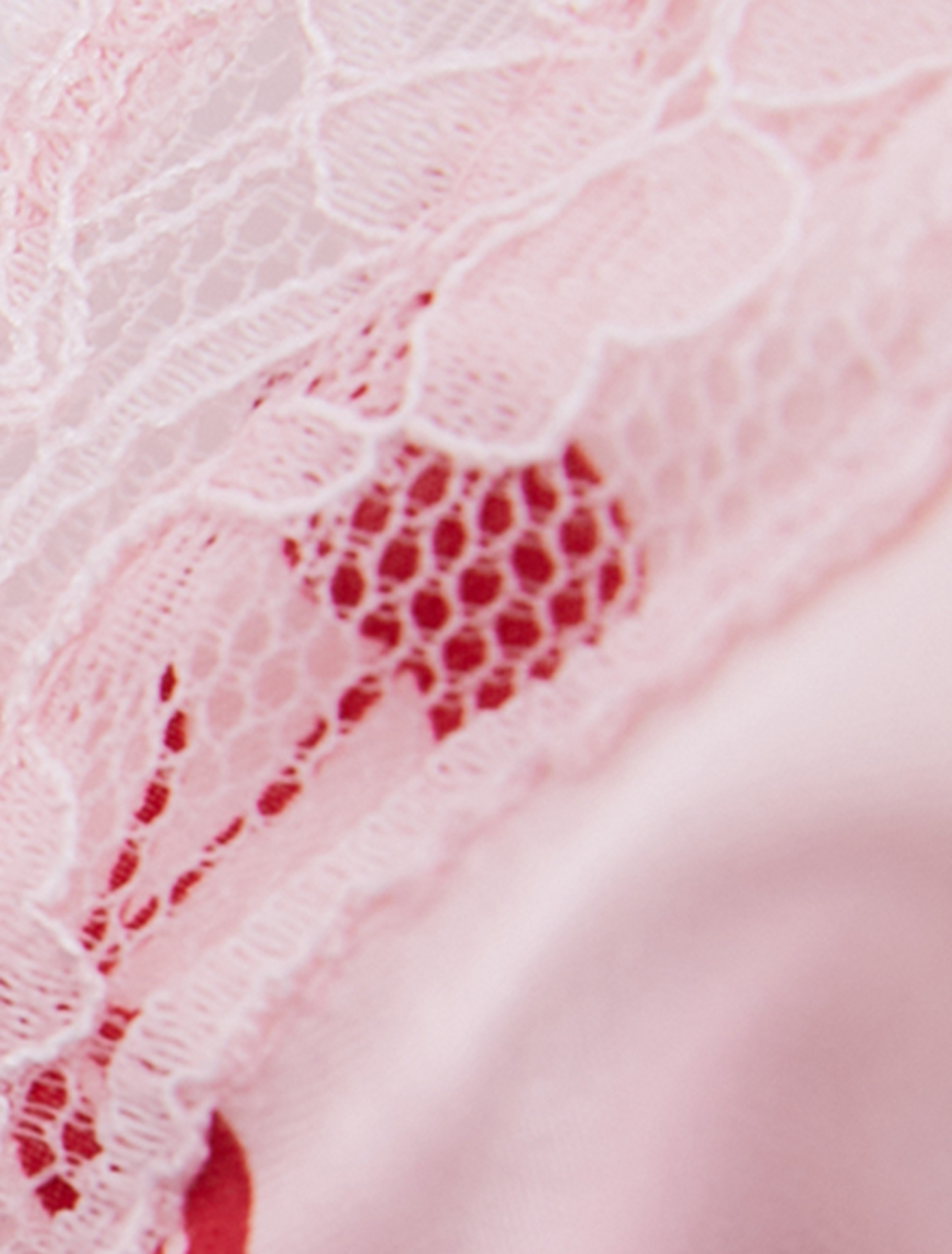   Dantel Detaylı Saten Kiraz Baskılı Sütyen