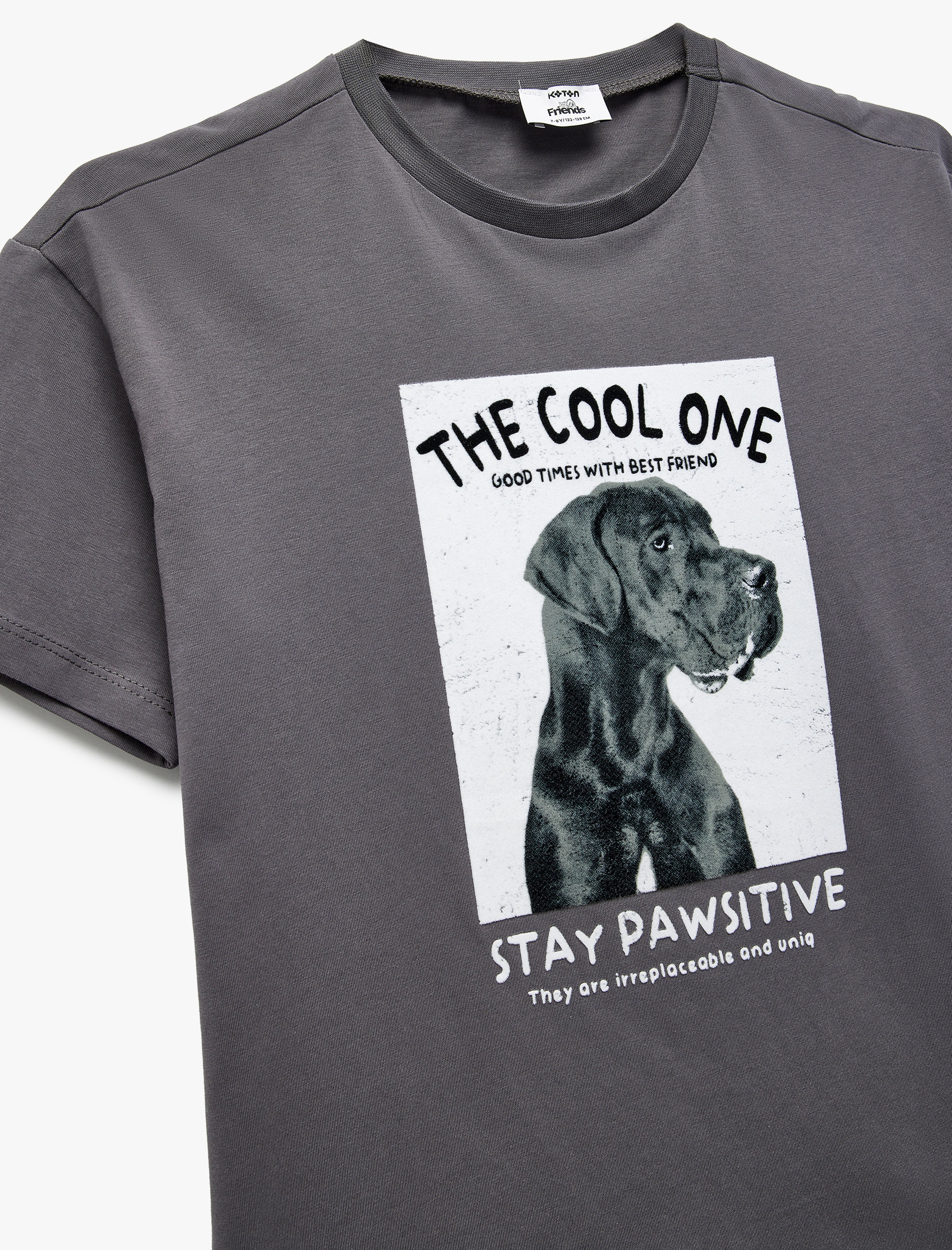  Erkek Çocuk Köpek Baskılı Kısa Kollu Bisiklet Yaka Pamuklu Tişört