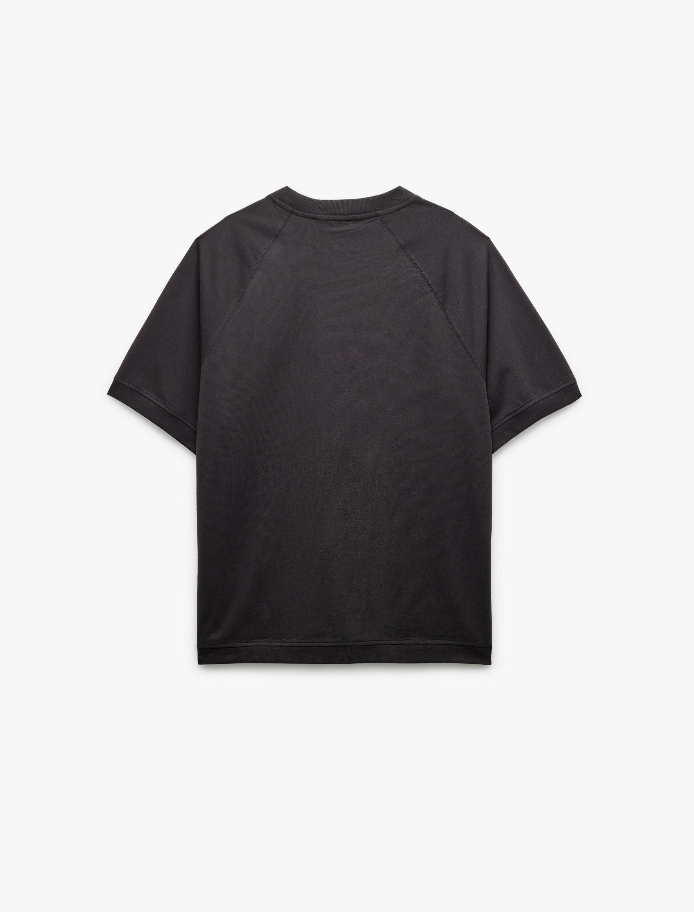   Kısa Kollu Pamuklu Dikiş Detaylı Tok Kumaş Regular Fit Bisiklet Yaka Tişört