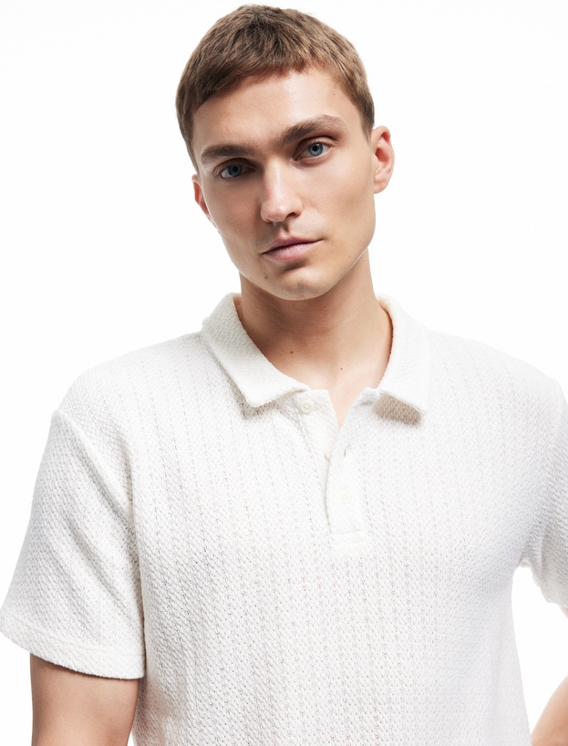 Regular Fit Kısa Kollu Dokulu Polo Yaka Tişört_1