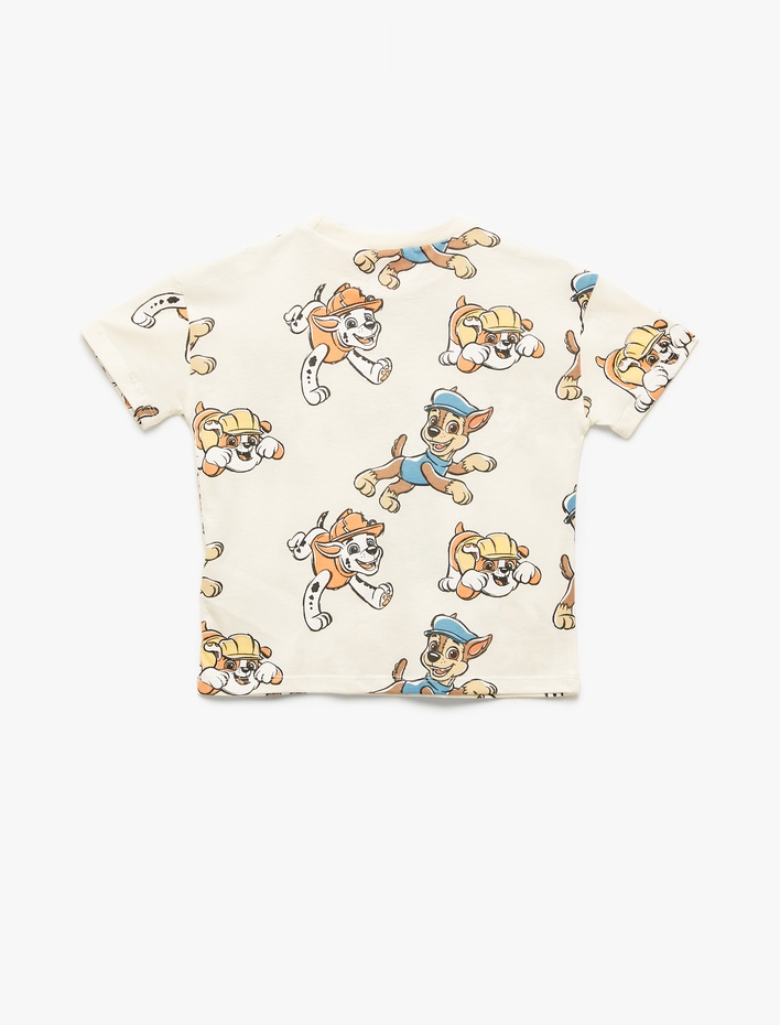 Erkek Bebek Paw Patrol Baskılı Lisanslı Kısa Kollu Bisiklet Yaka Pamuklu Tişört