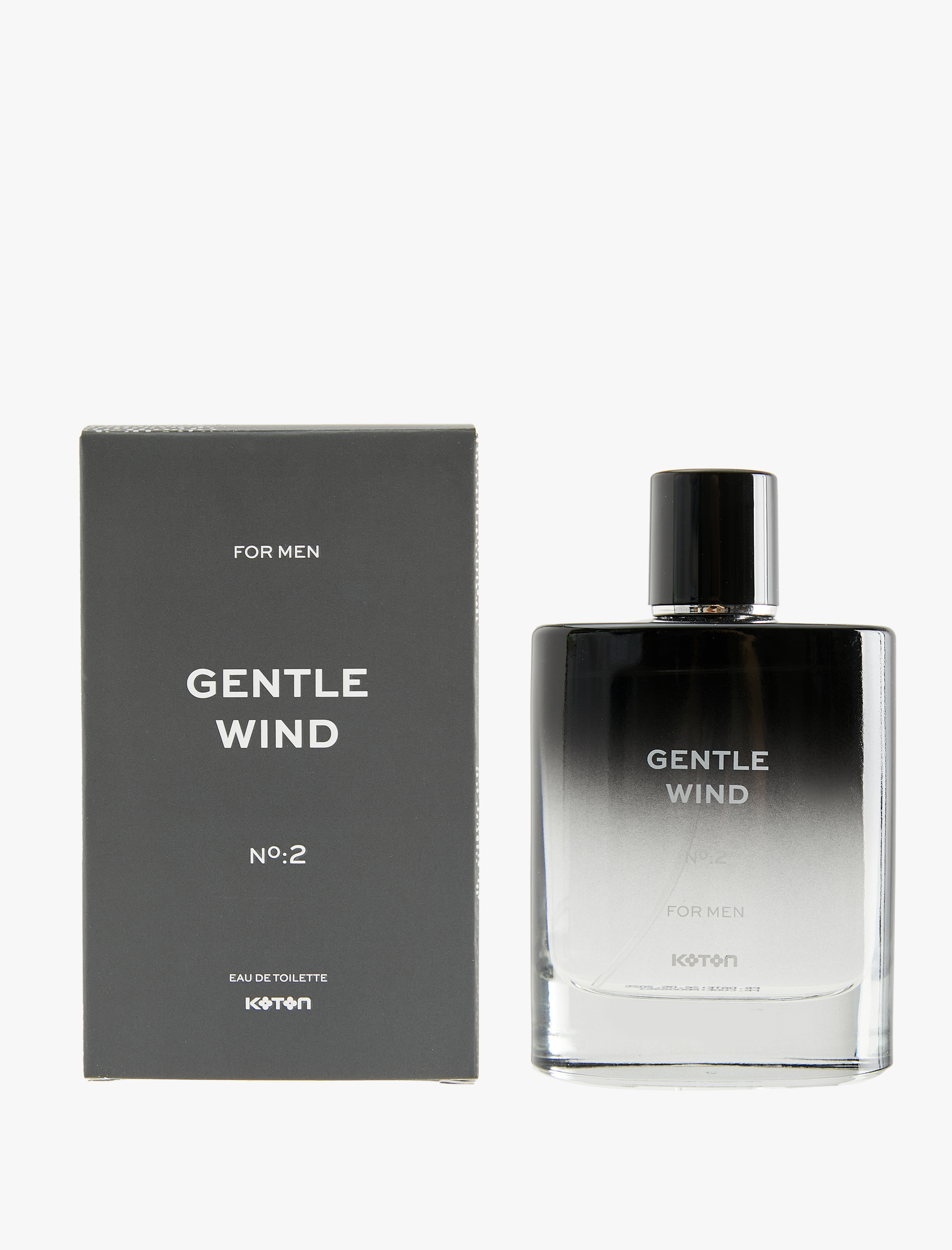  Erkek Parfüm Gentle Wind 100 ML