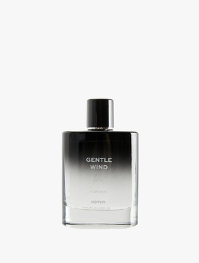Parfüm Gentle Wind 100 ML